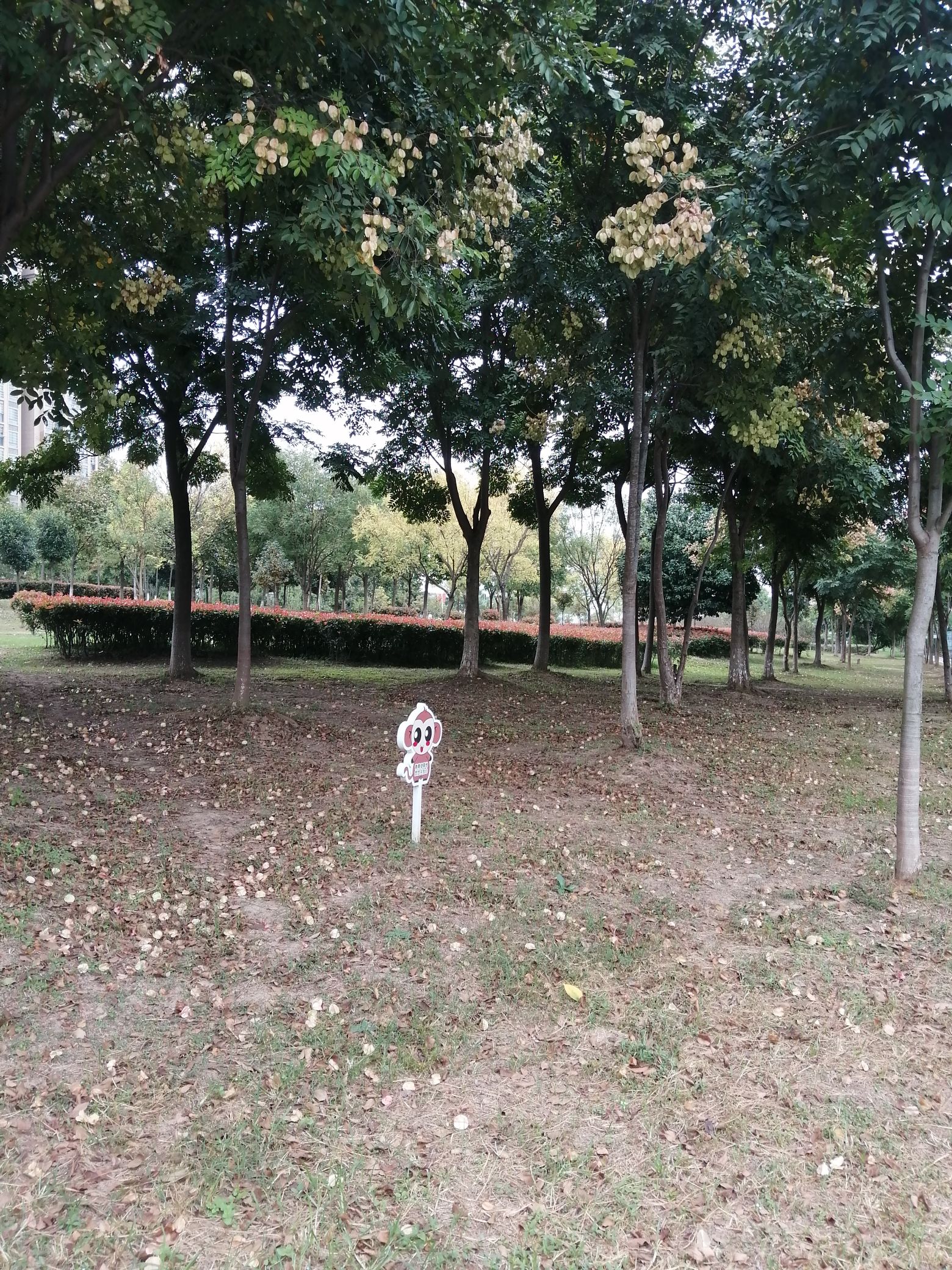 望江滨河公园