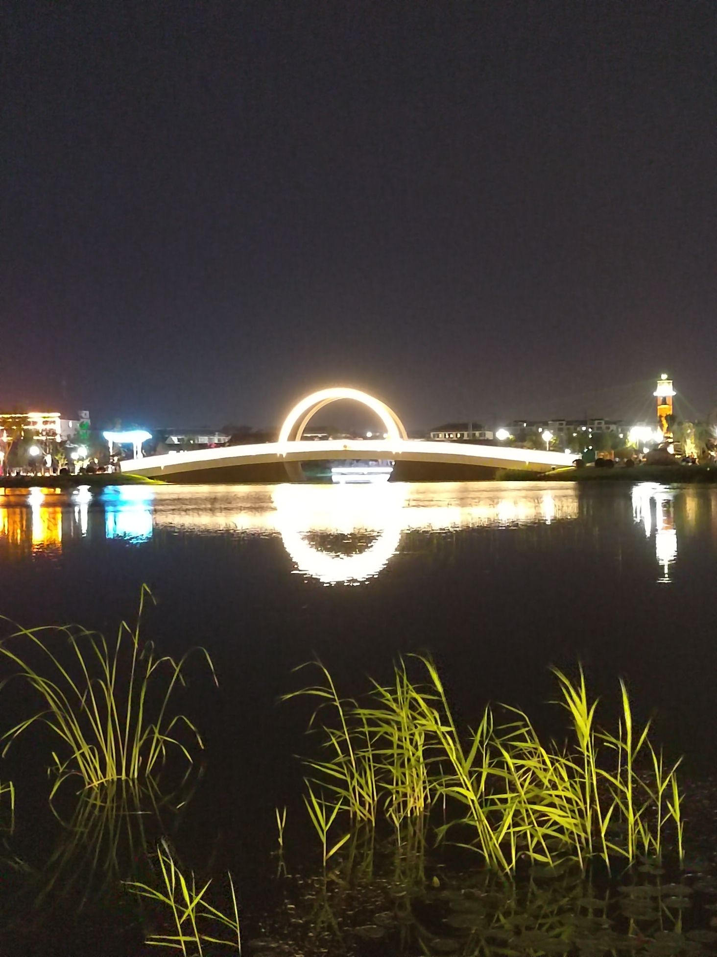 南埠湾公园旅行图片