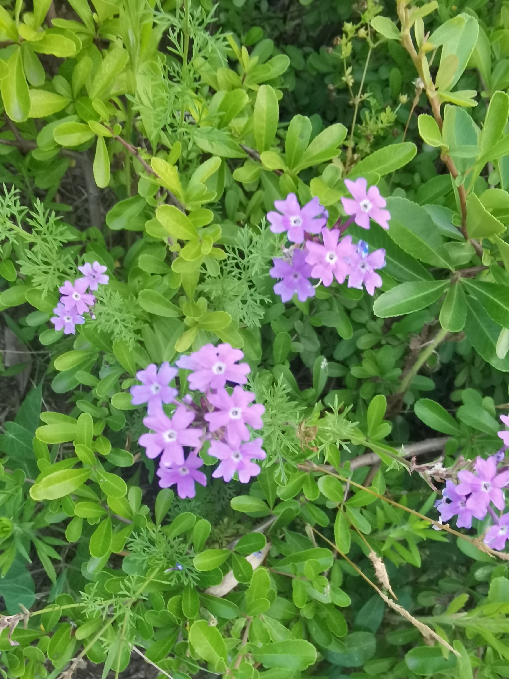 万福河滨水公园