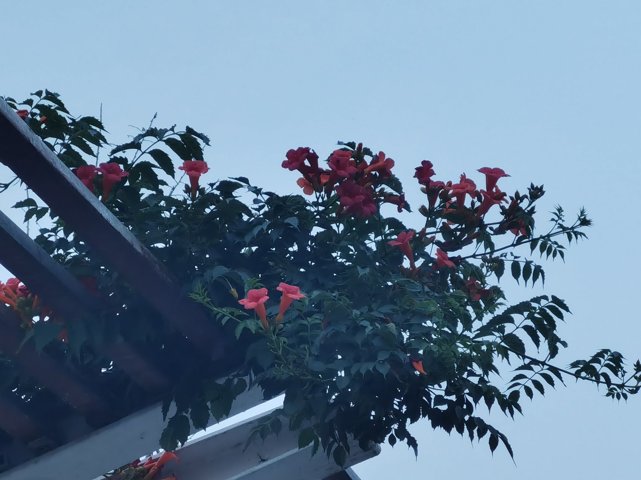 万福河滨水公园旅行图片