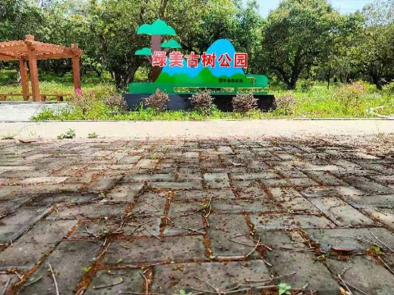 联饶镇上寨村绿美古树公园