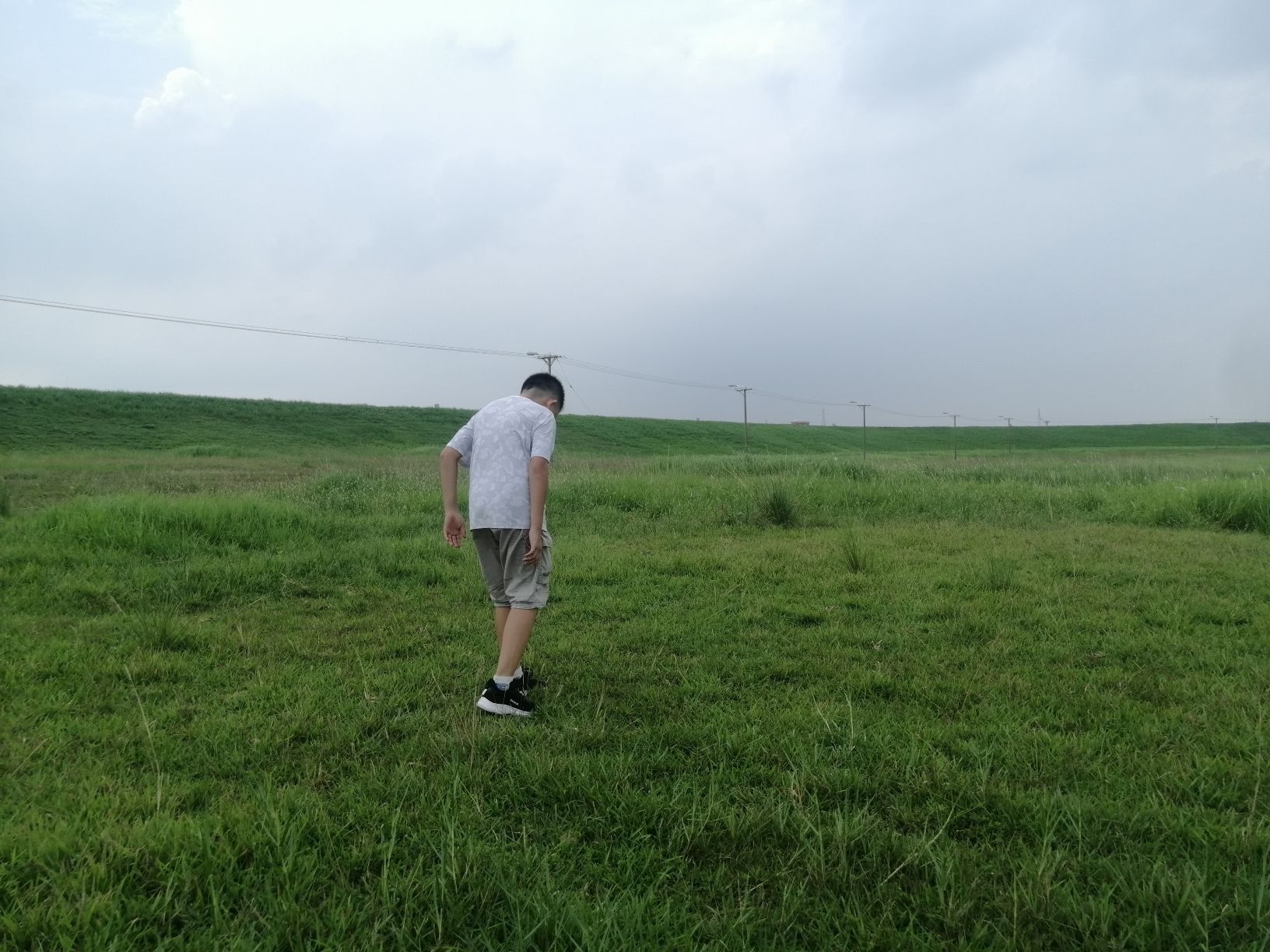 梁家村大榕树