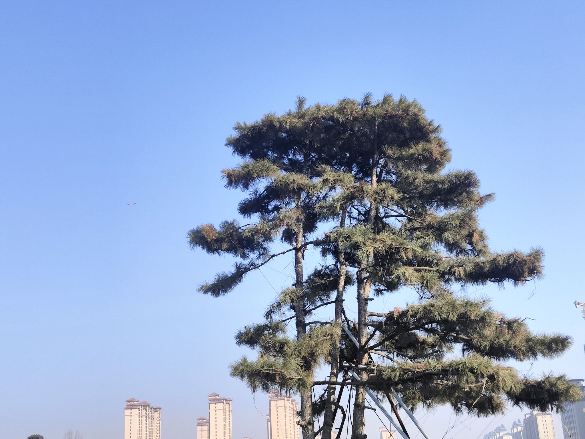 潮悦滨湖公园