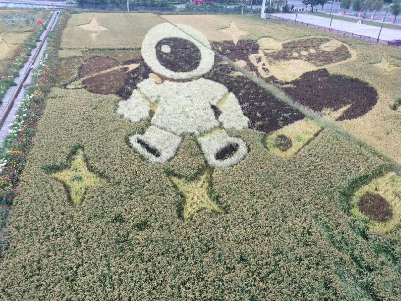 源宇宙农乐科普基地