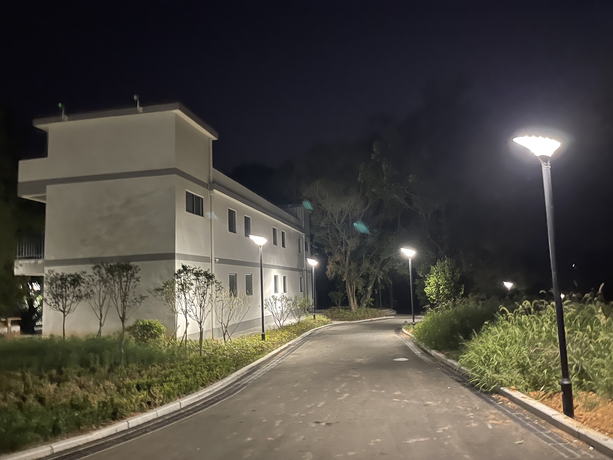 霞洋森林公园
