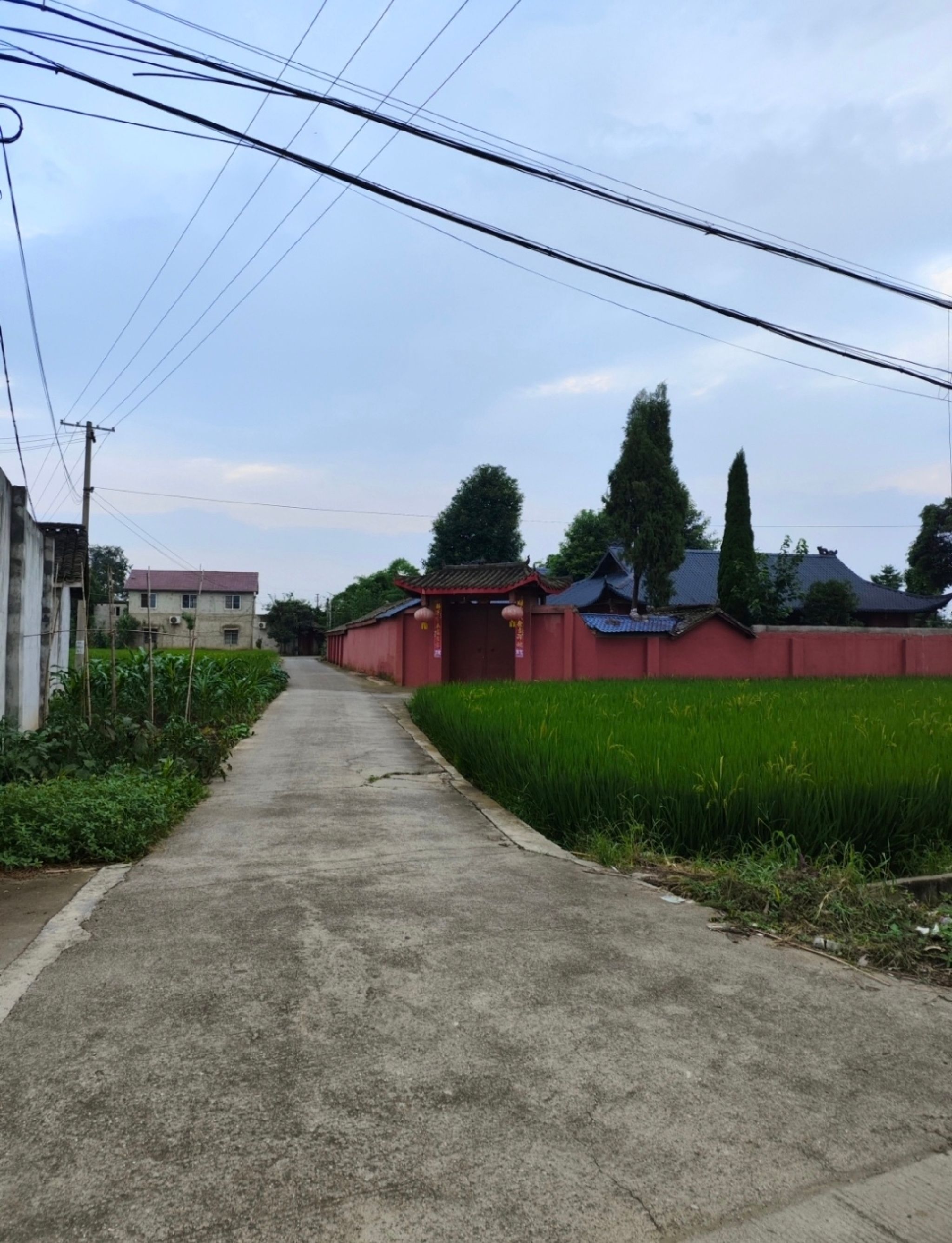 牛王庙