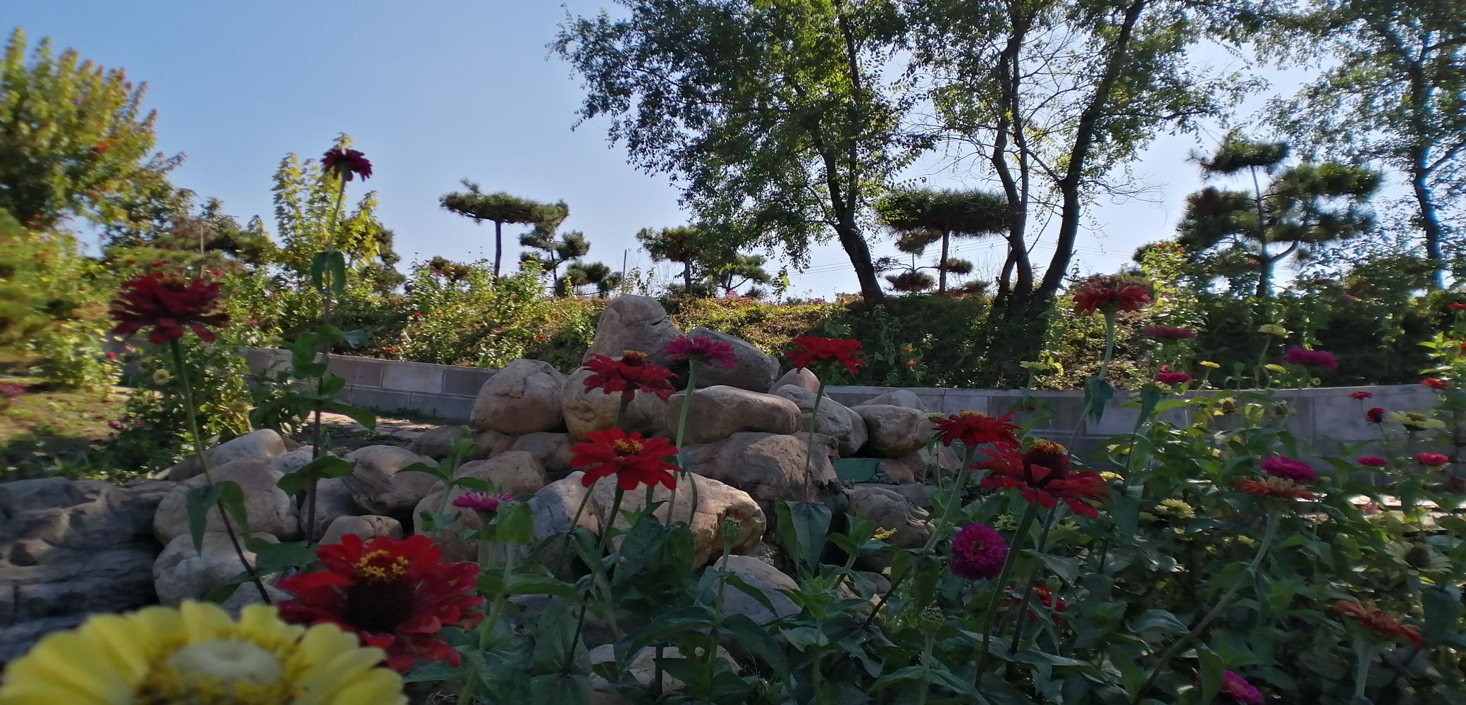 香叶谷旅行图片