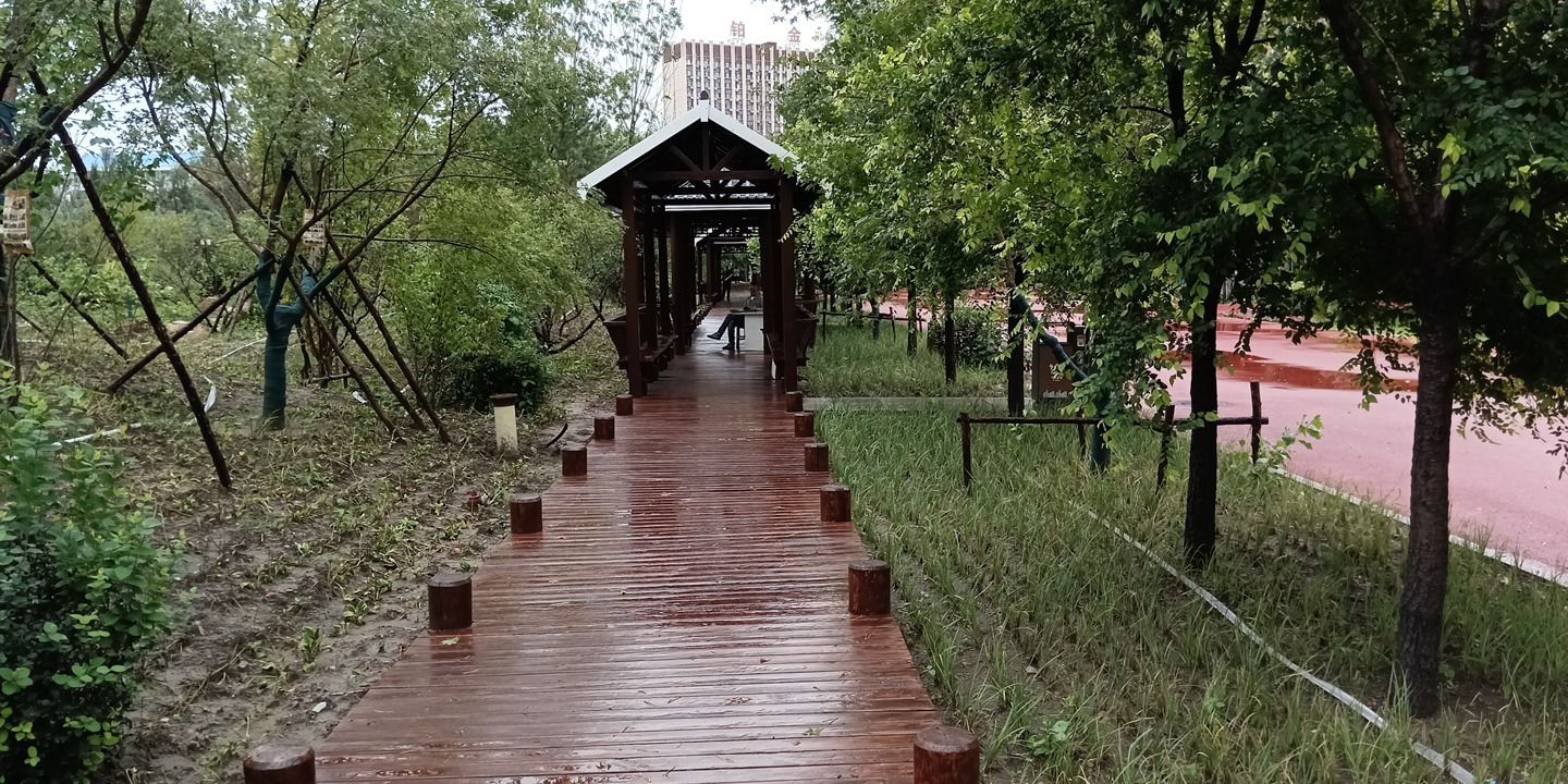 全民健身体育公园旅行图片