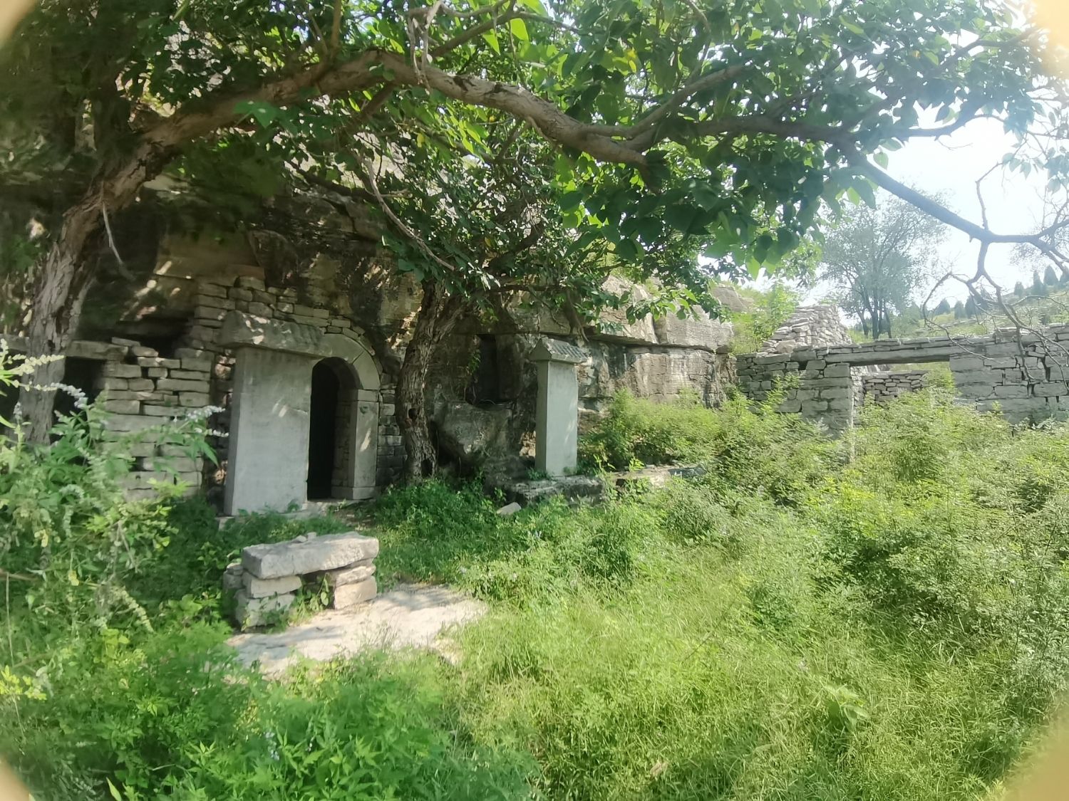 阳谷洞(养姑洞)