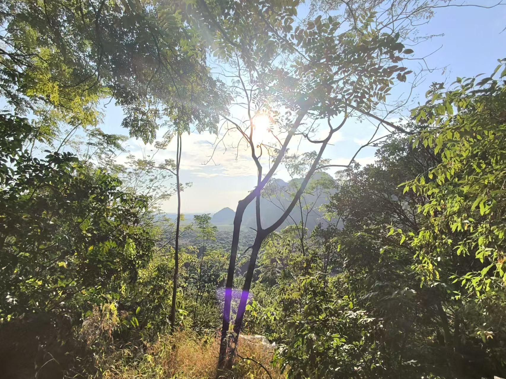 南茅小洞天旅行图片