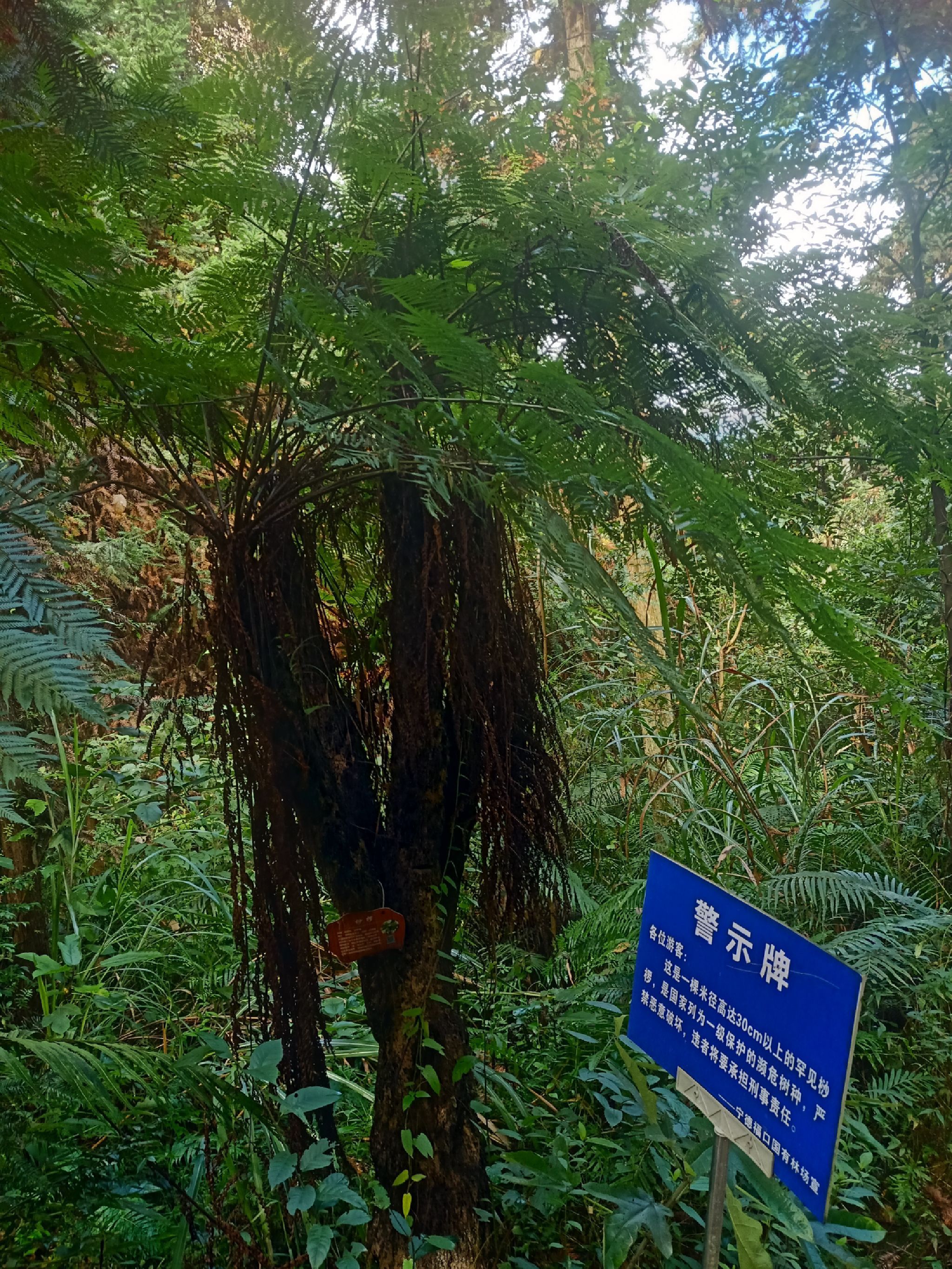 宁德植物园