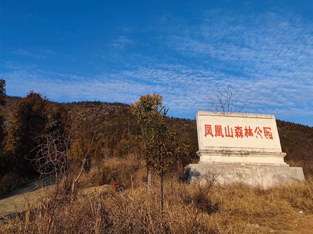 凤凰山森林公园
