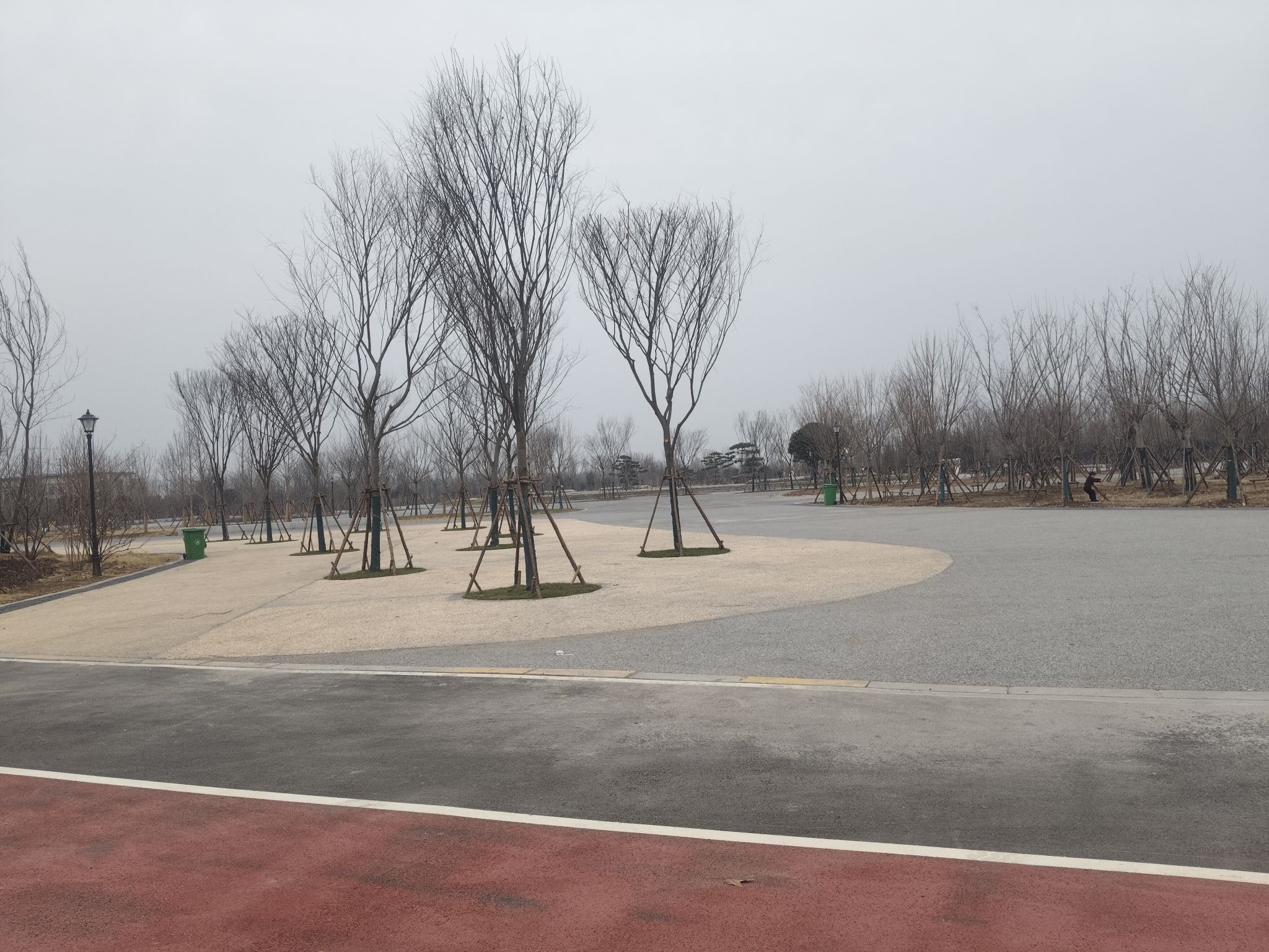 沙河湾森林公园