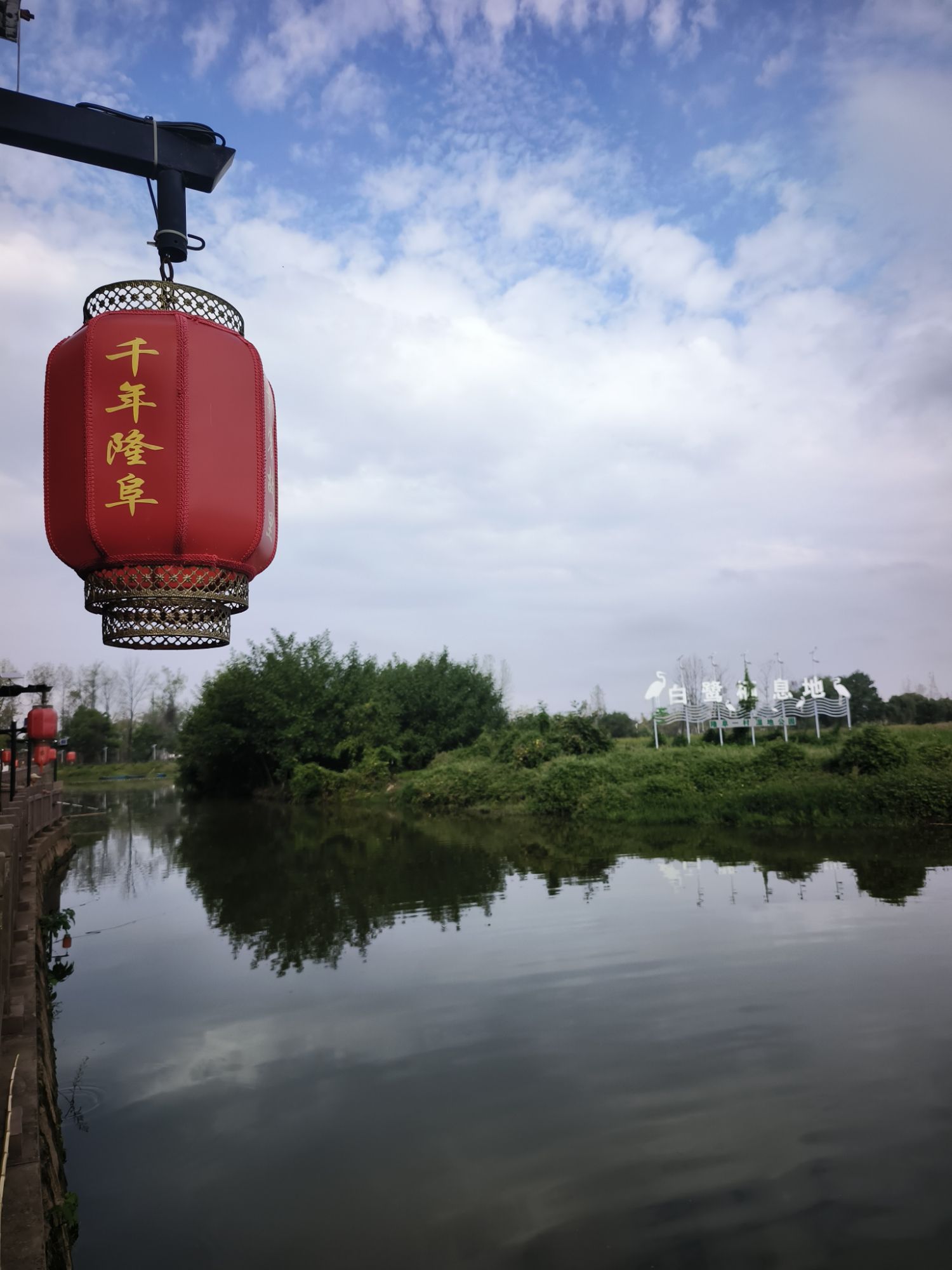 隆阜一村白鹭生态湿地