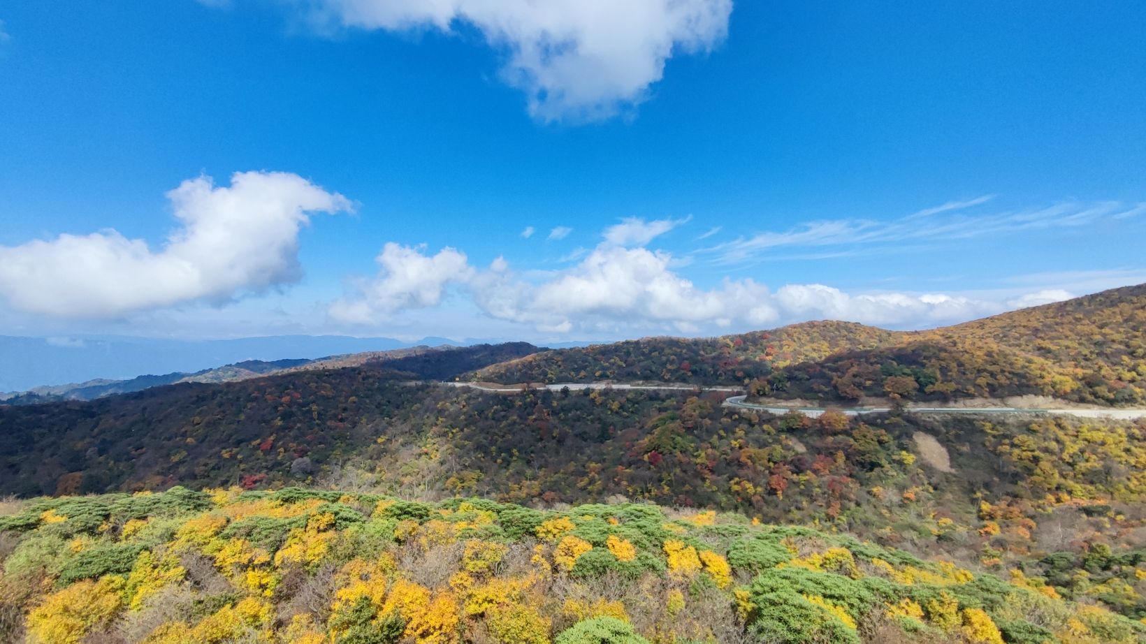 旺苍县盐井河森林公园