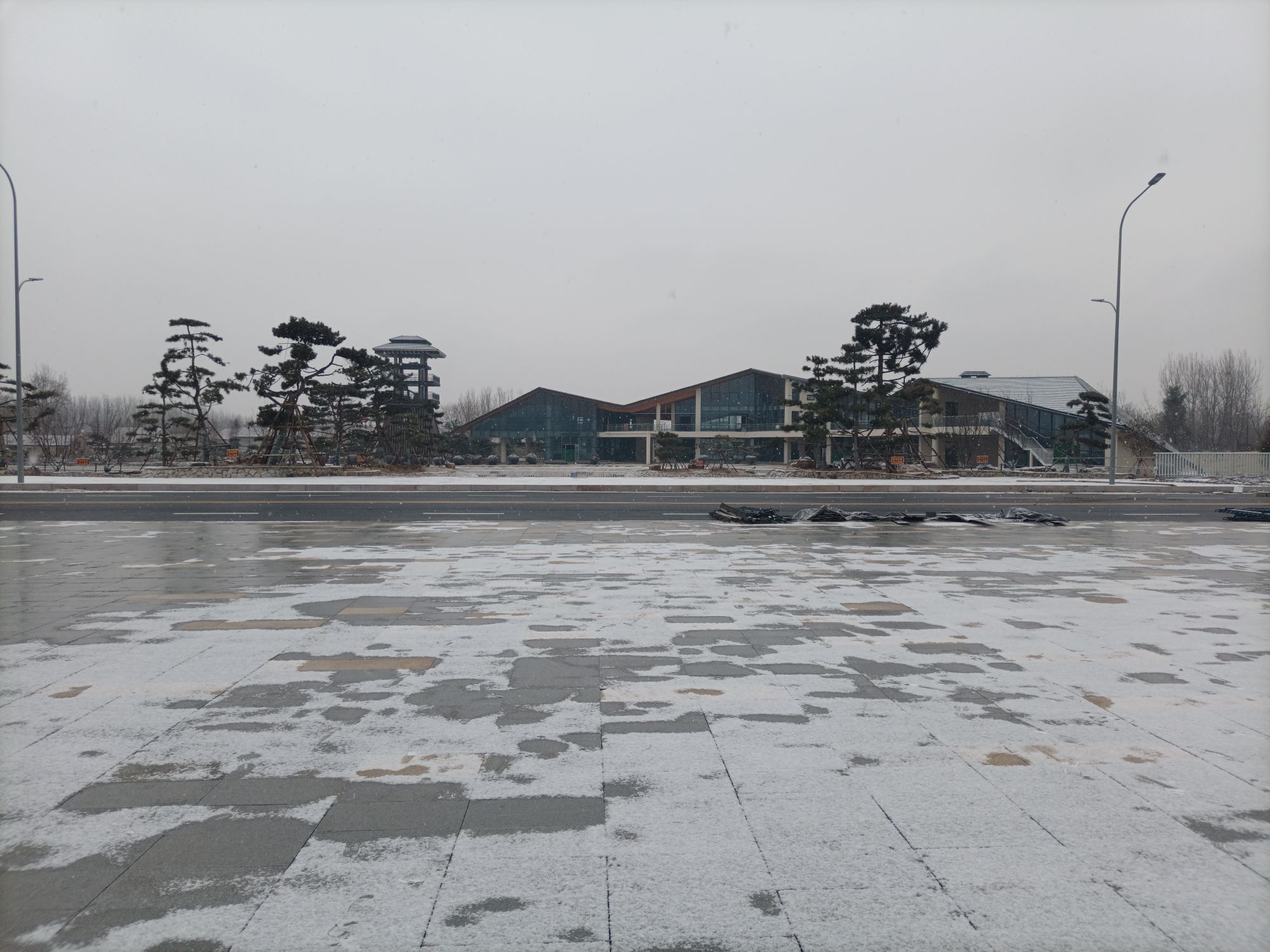 朝阳森林公园旅行图片