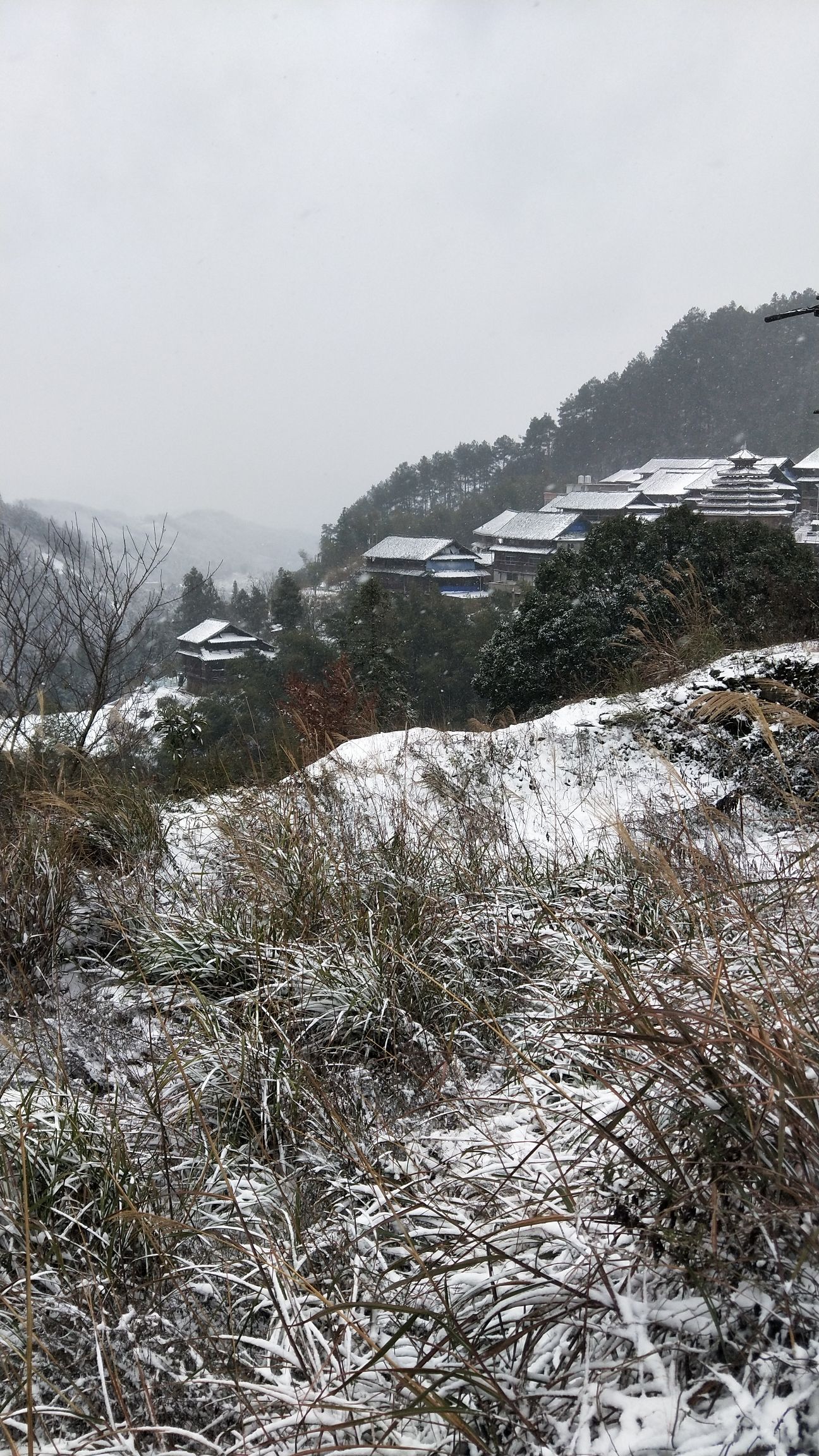 大培山侗寨景区观光台三