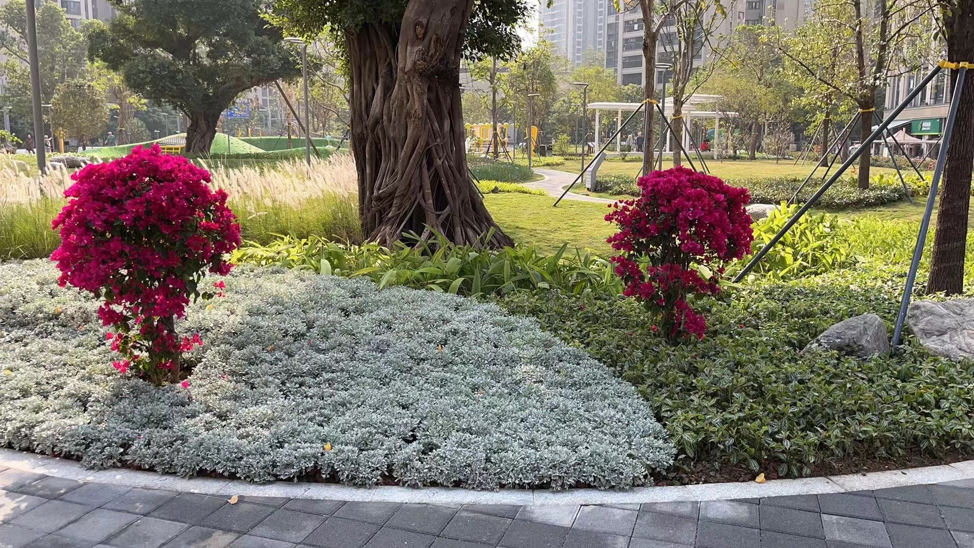 崇文三路口袋公园旅行图片