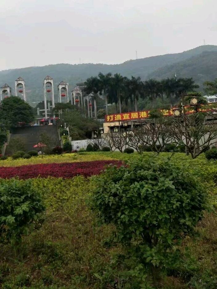 凤凰山