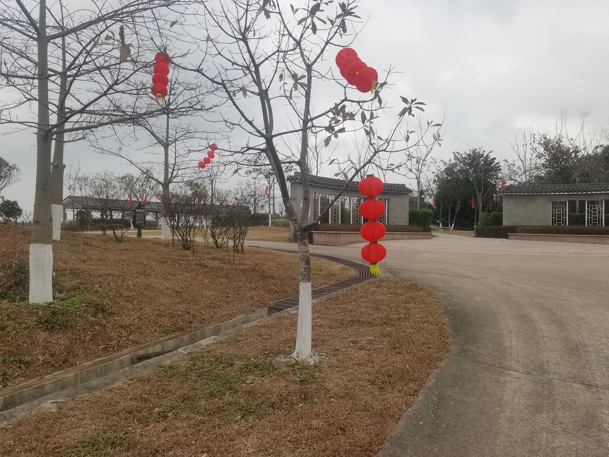 揽胜阁旅行图片