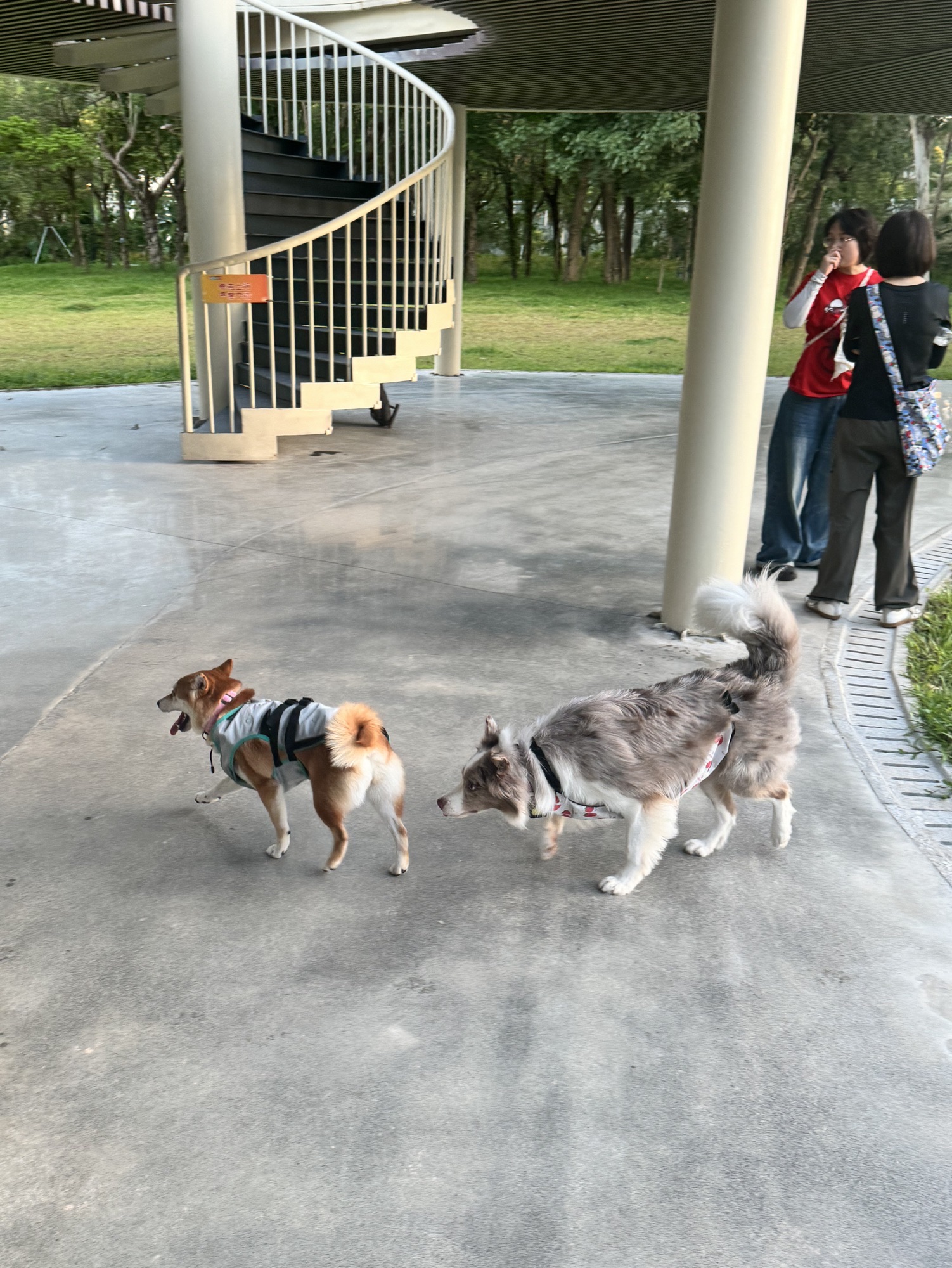 云曦萌宠绿地小游园
