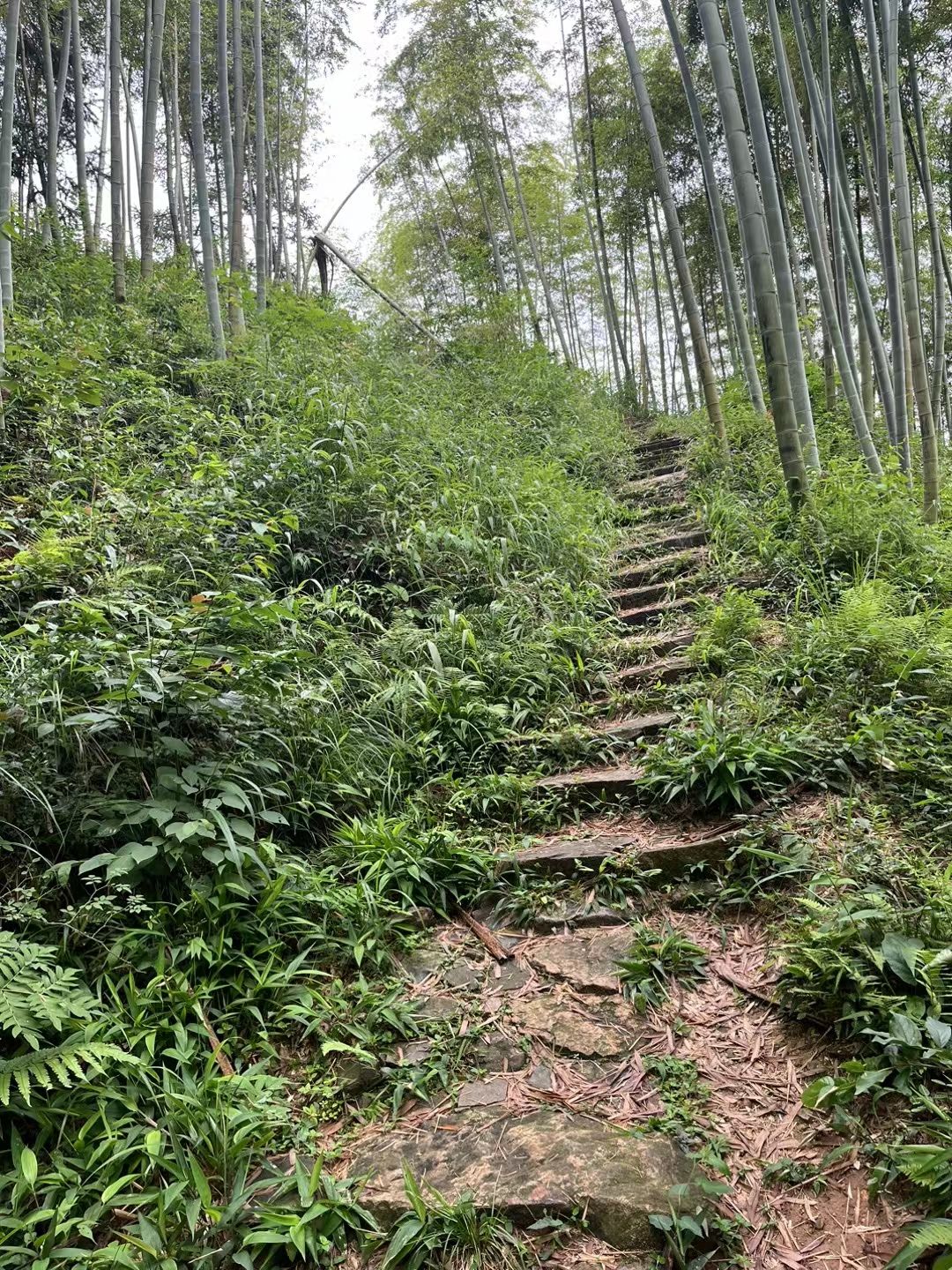 天字古道