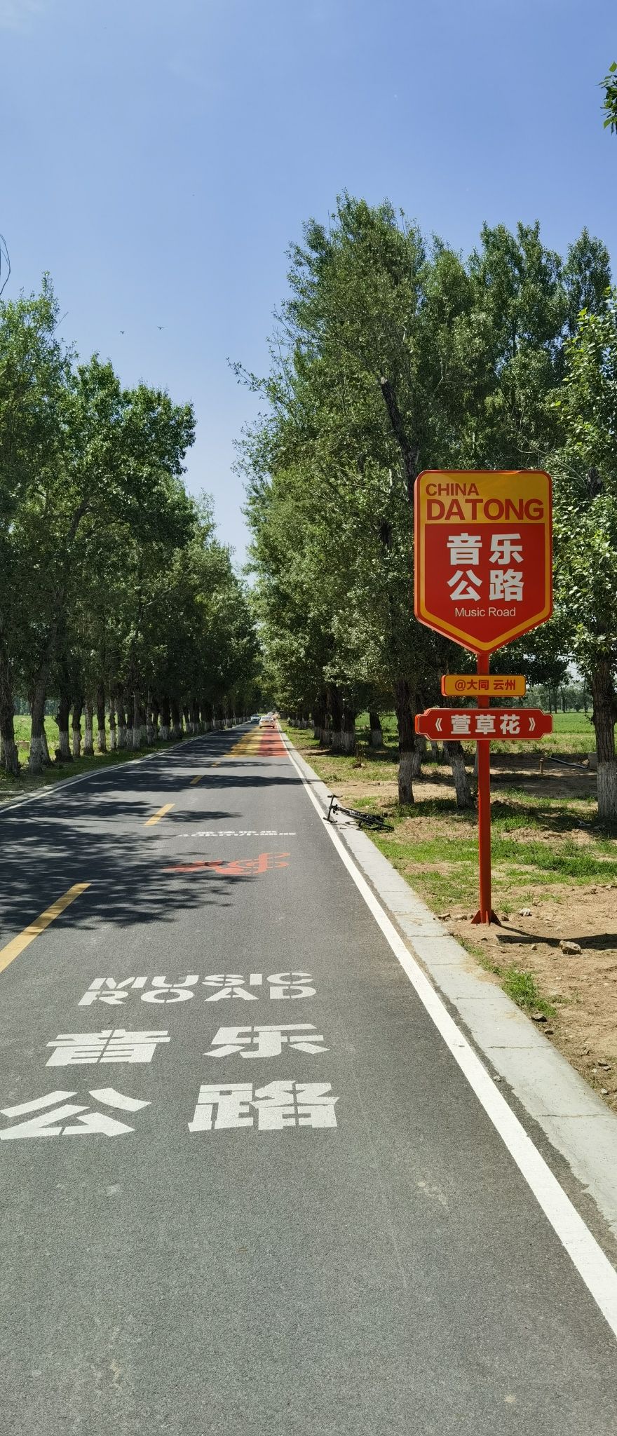 萱草花音乐公路
