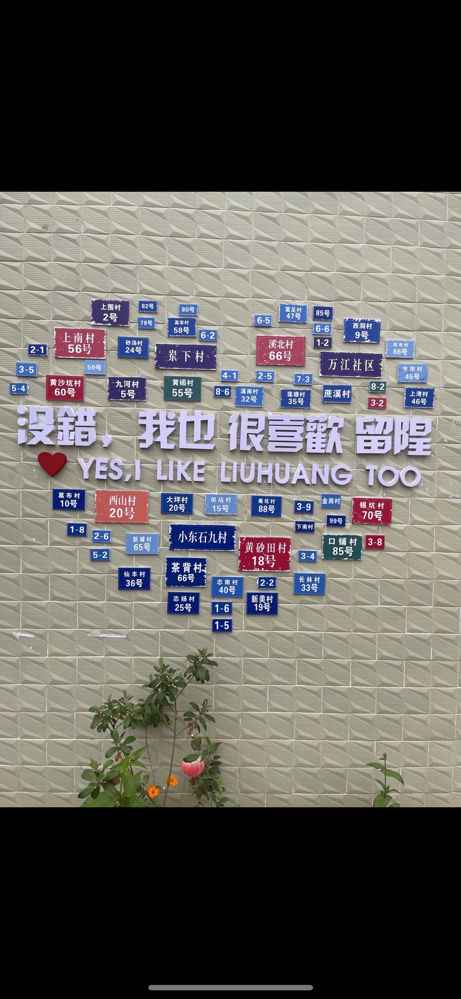 忘忧云顶
