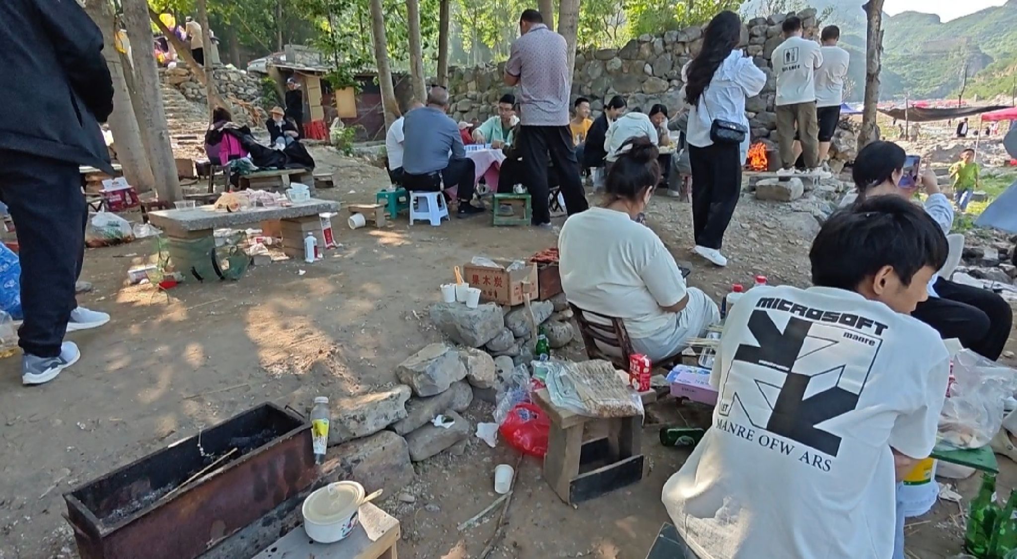 八渡杨树林