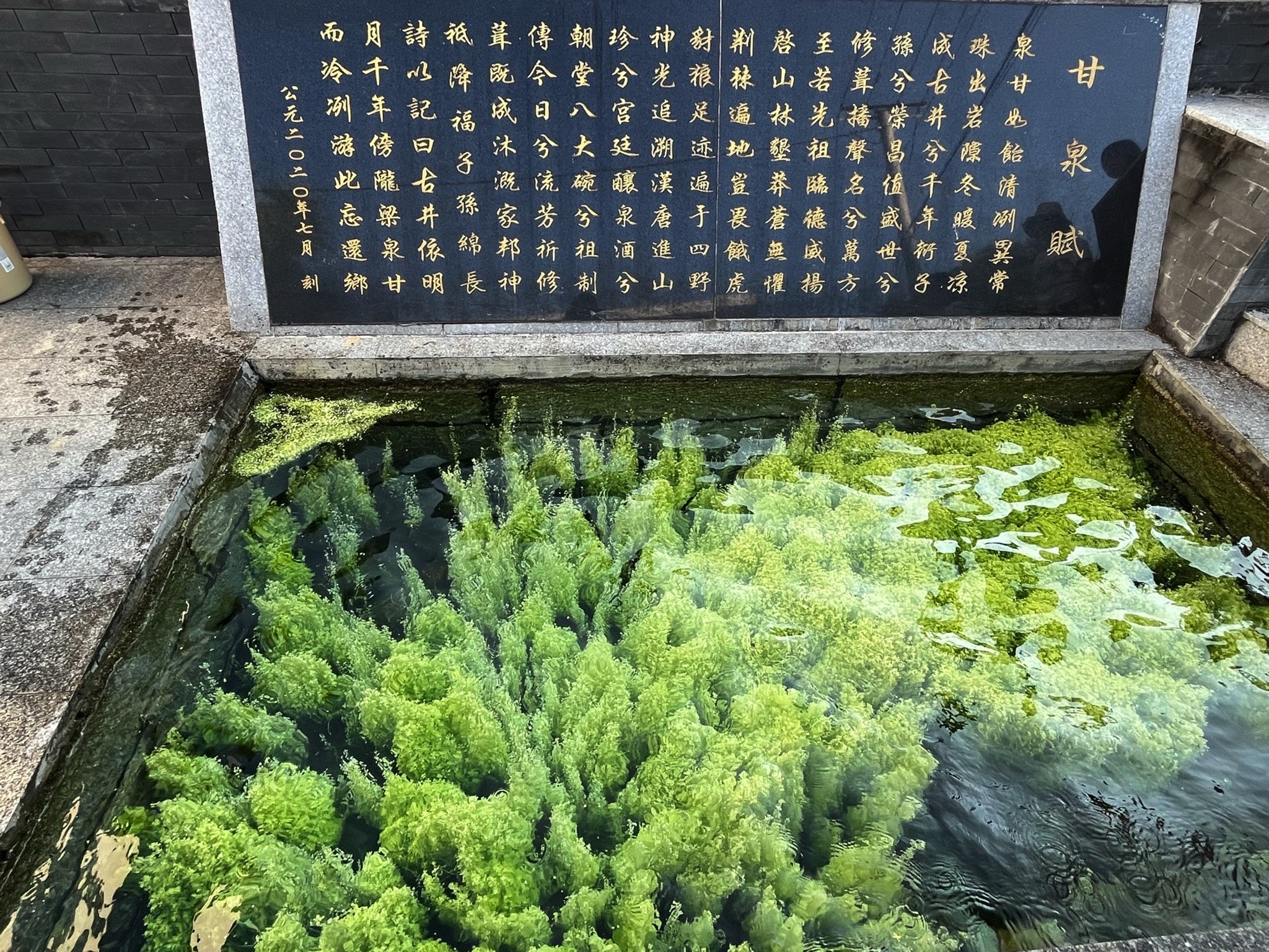 张坊古井