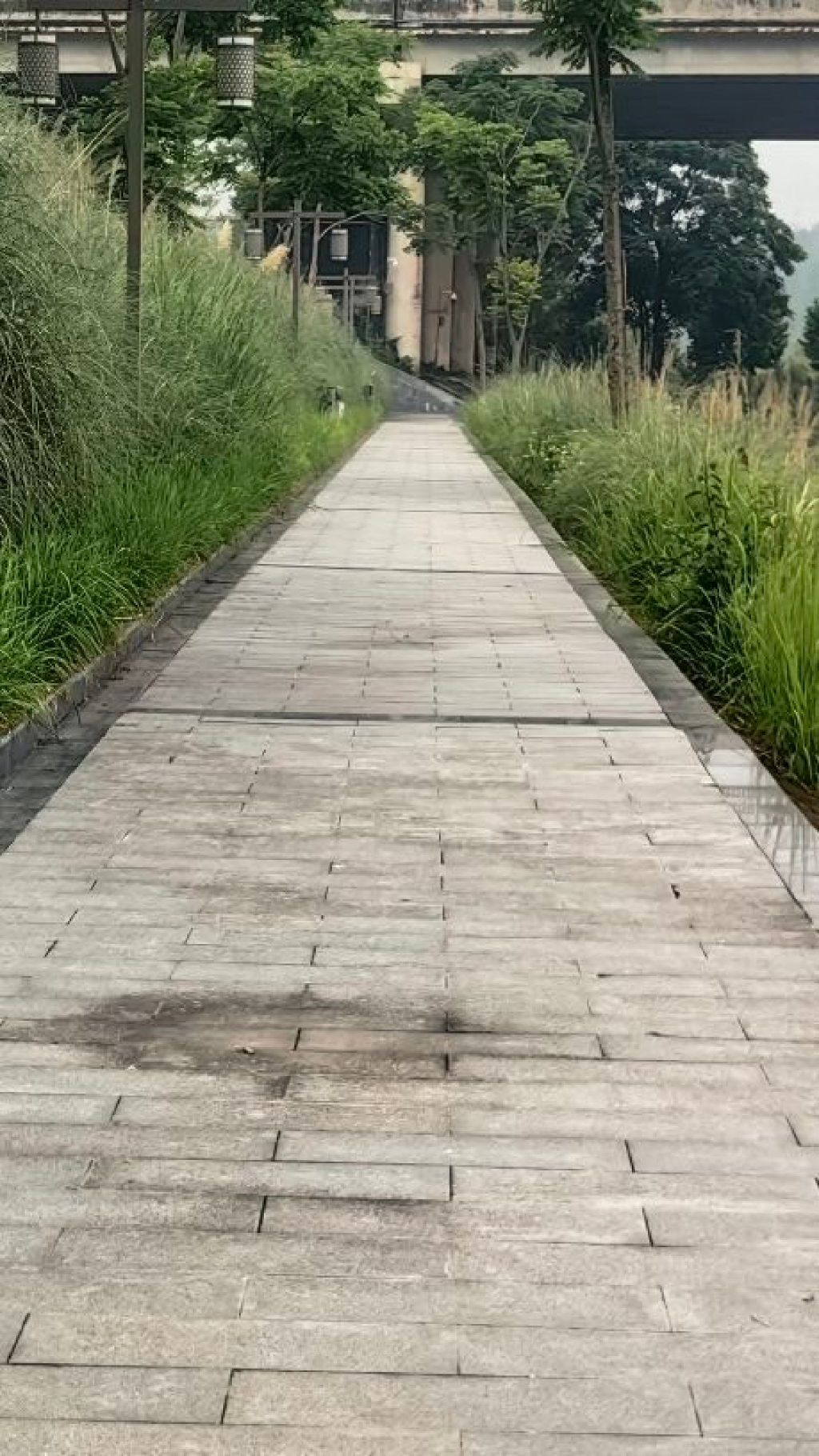花萼碧道
