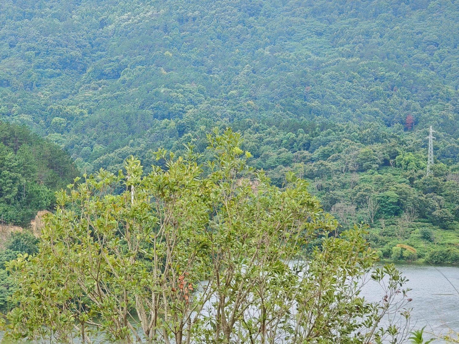 仙龙湖