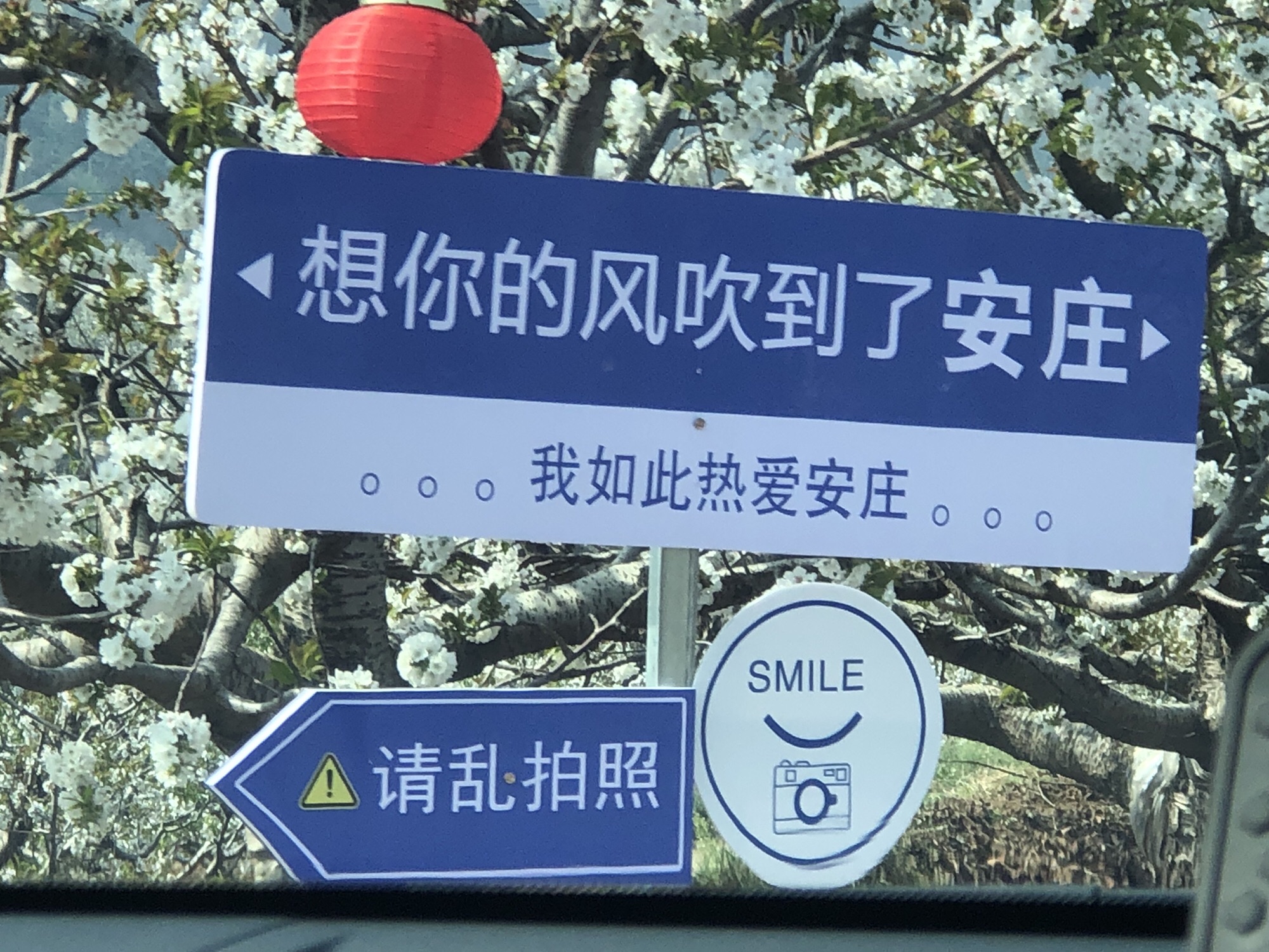 安驾庄镇大樱桃风景区