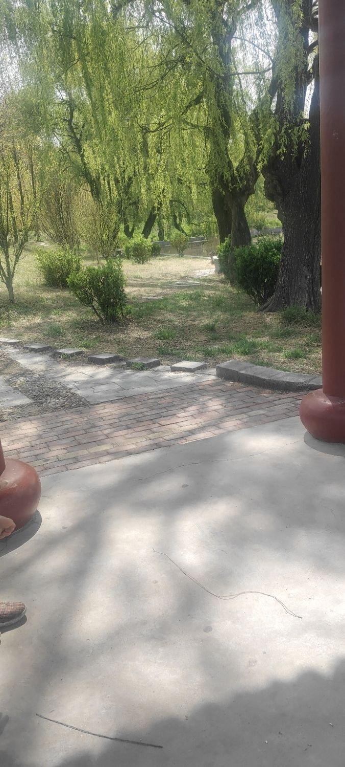 东莞镇应急休闲公园