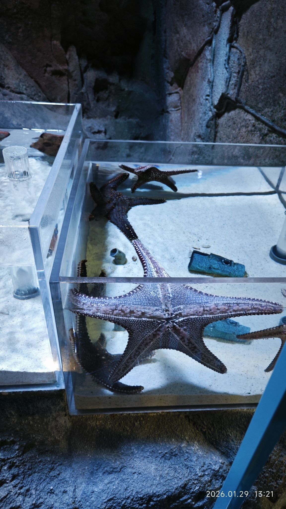 小梅沙海洋世界