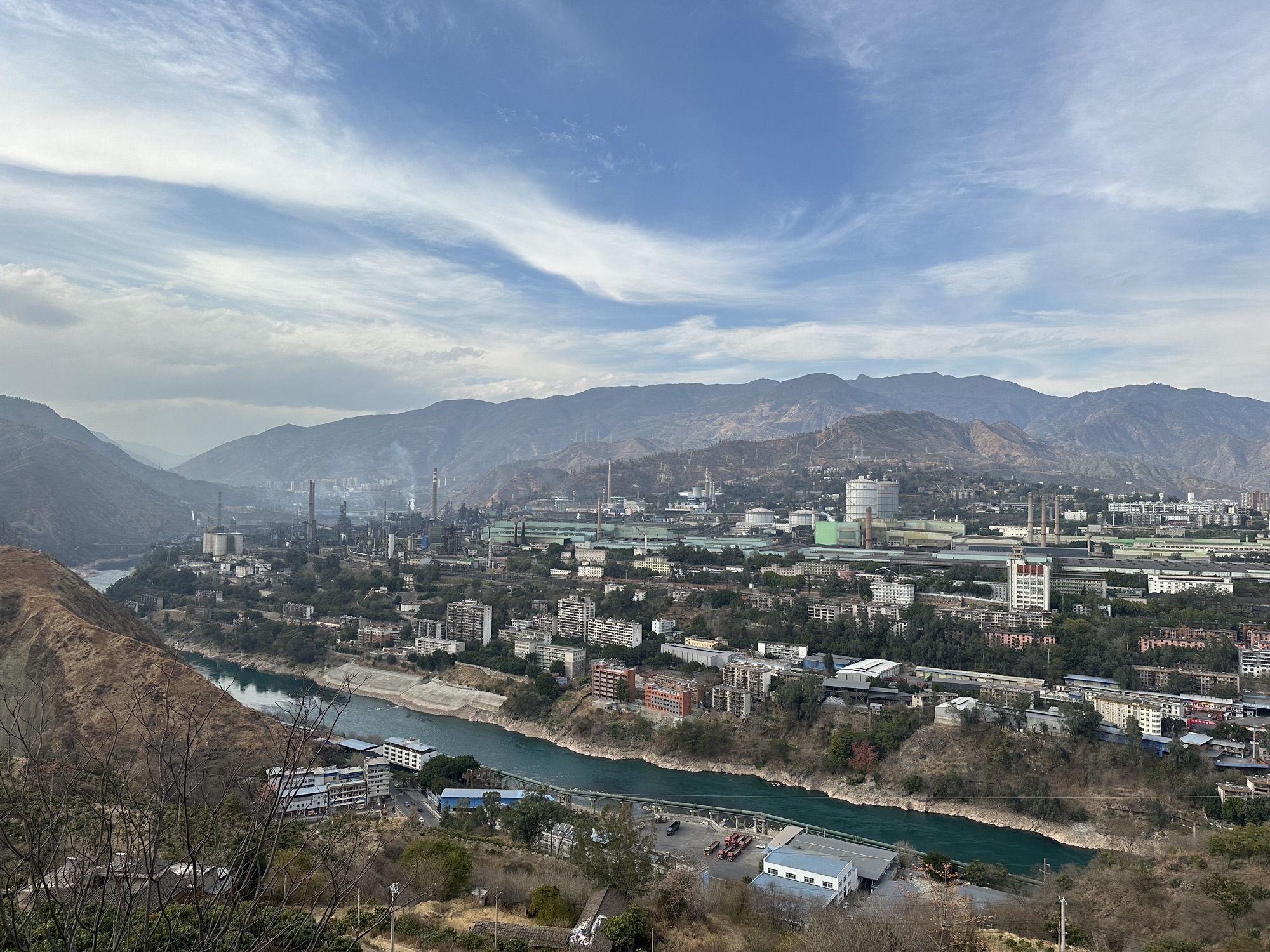 南山一棵树
