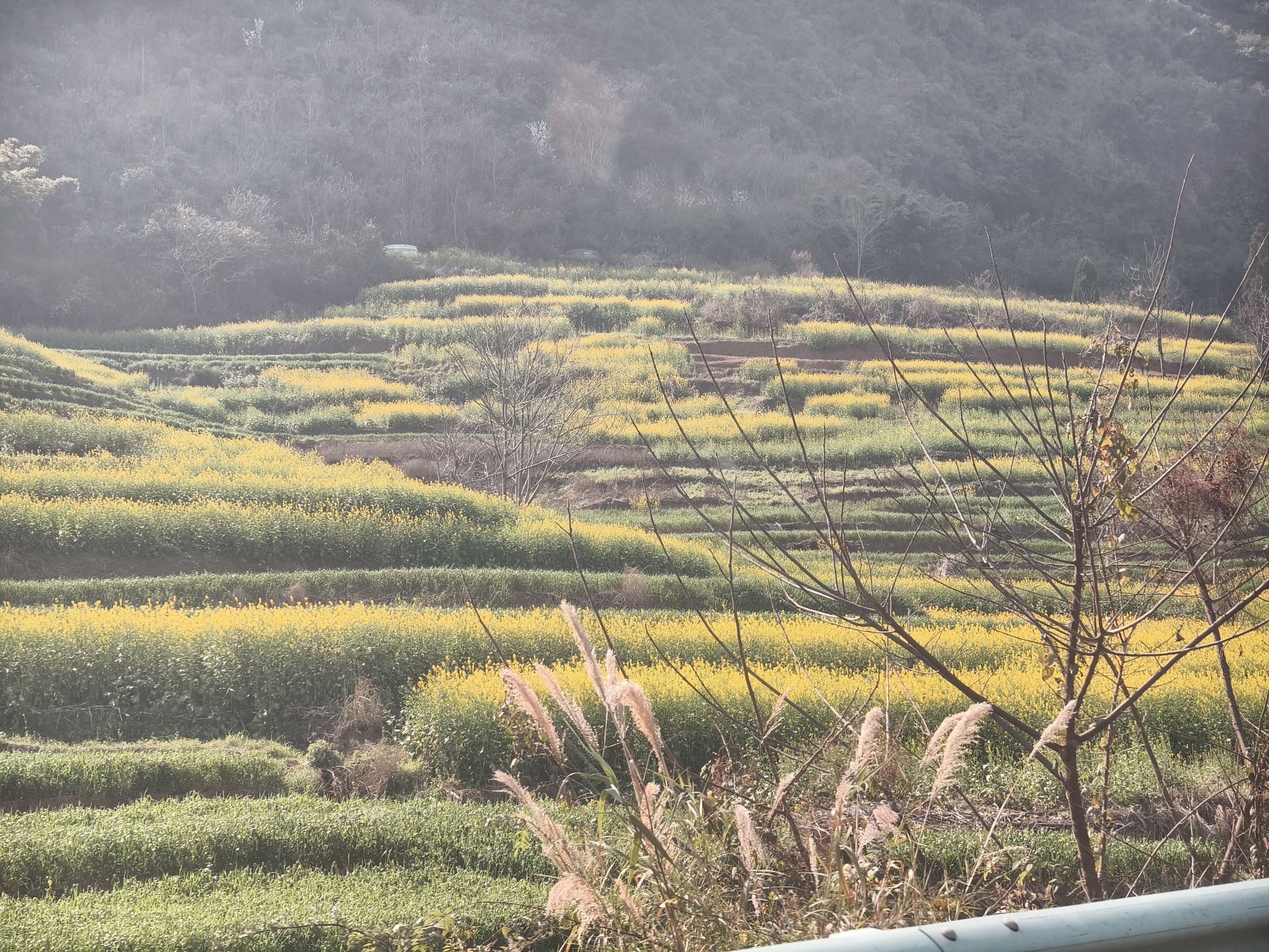 河万村万峰顶旅行图片
