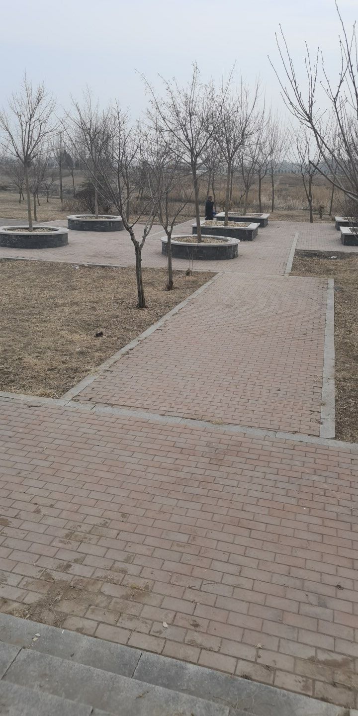解家庄汪塘公园