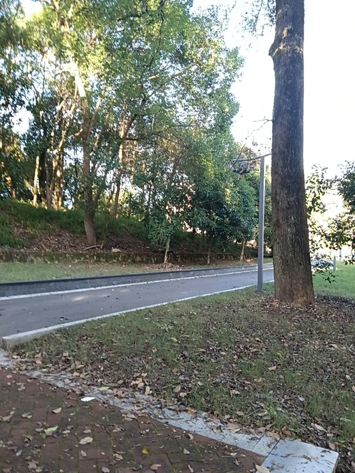 初心公园