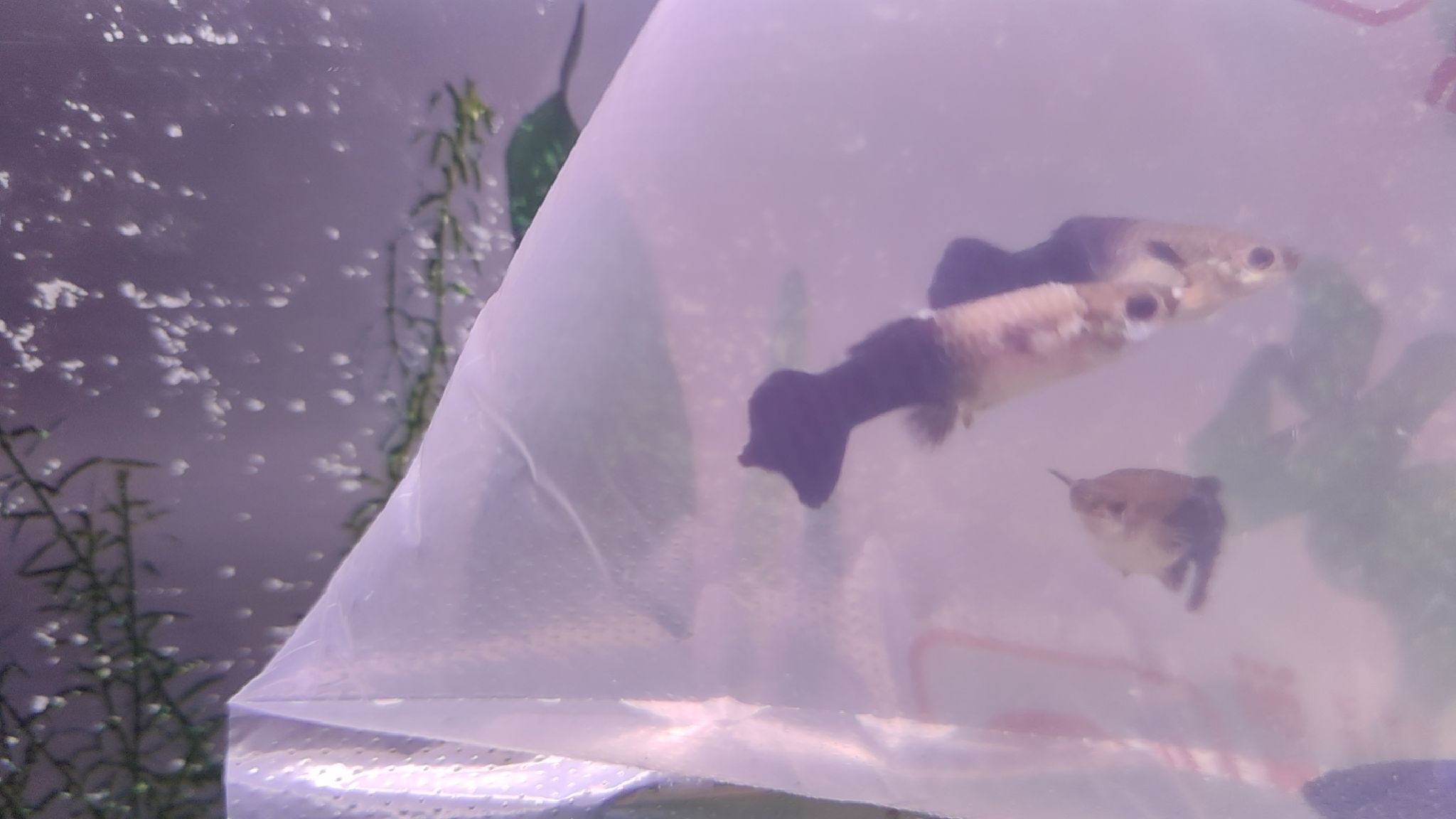 海友水族