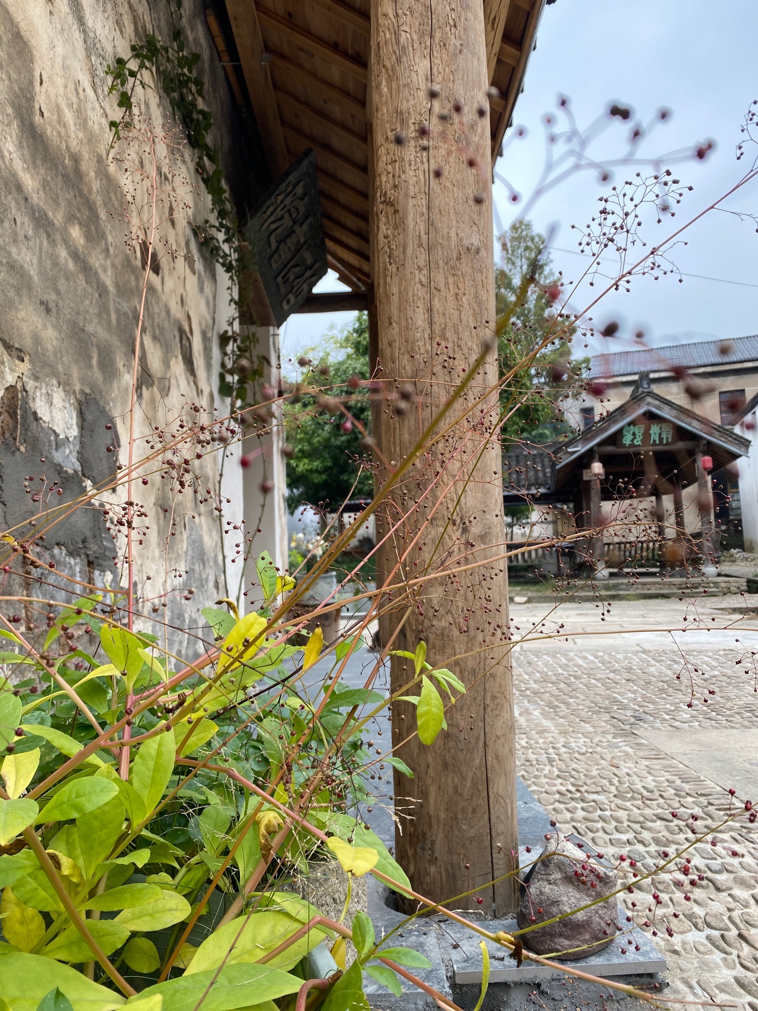 哲匠书院