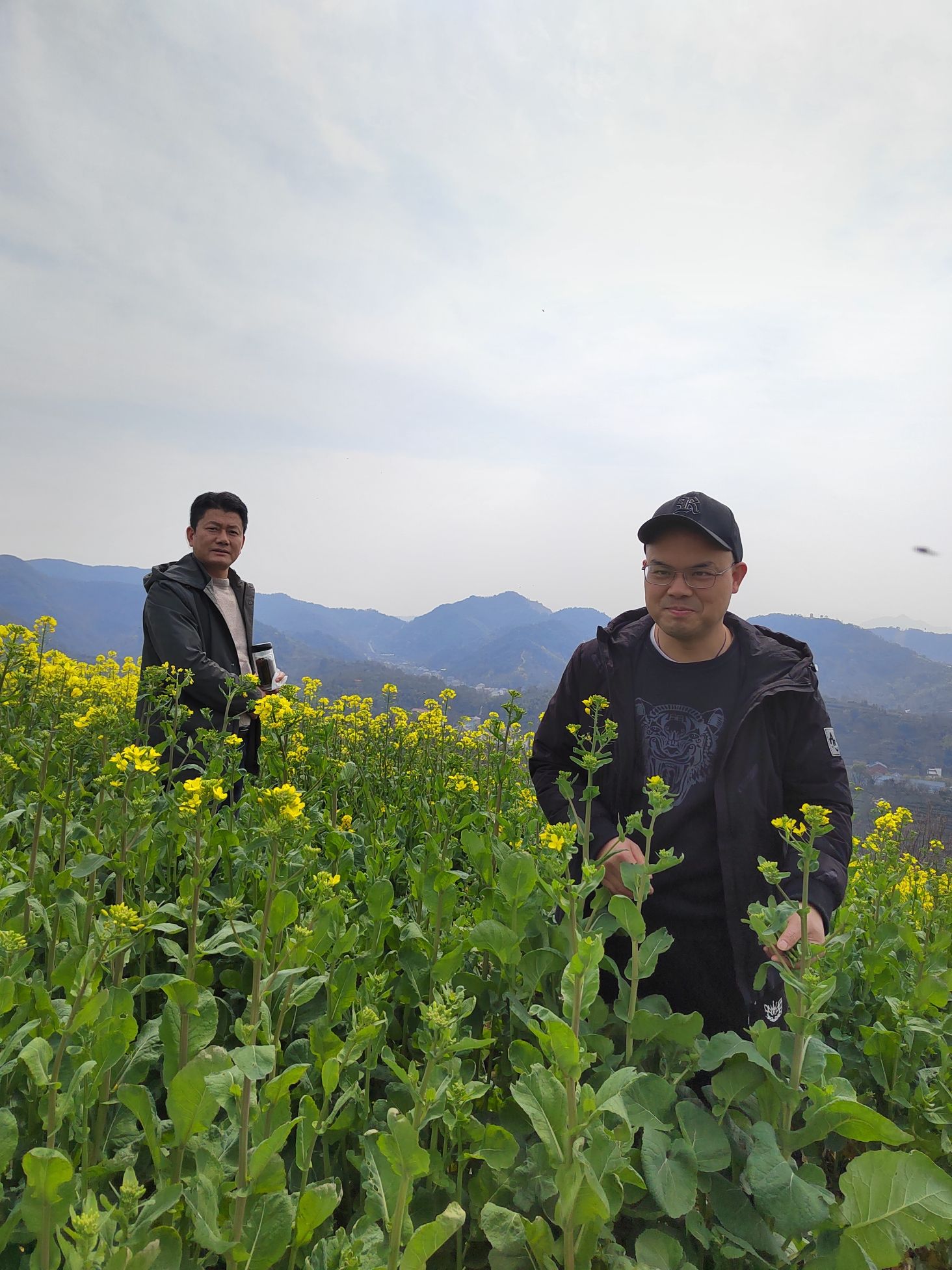 山里王观景台旅行图片