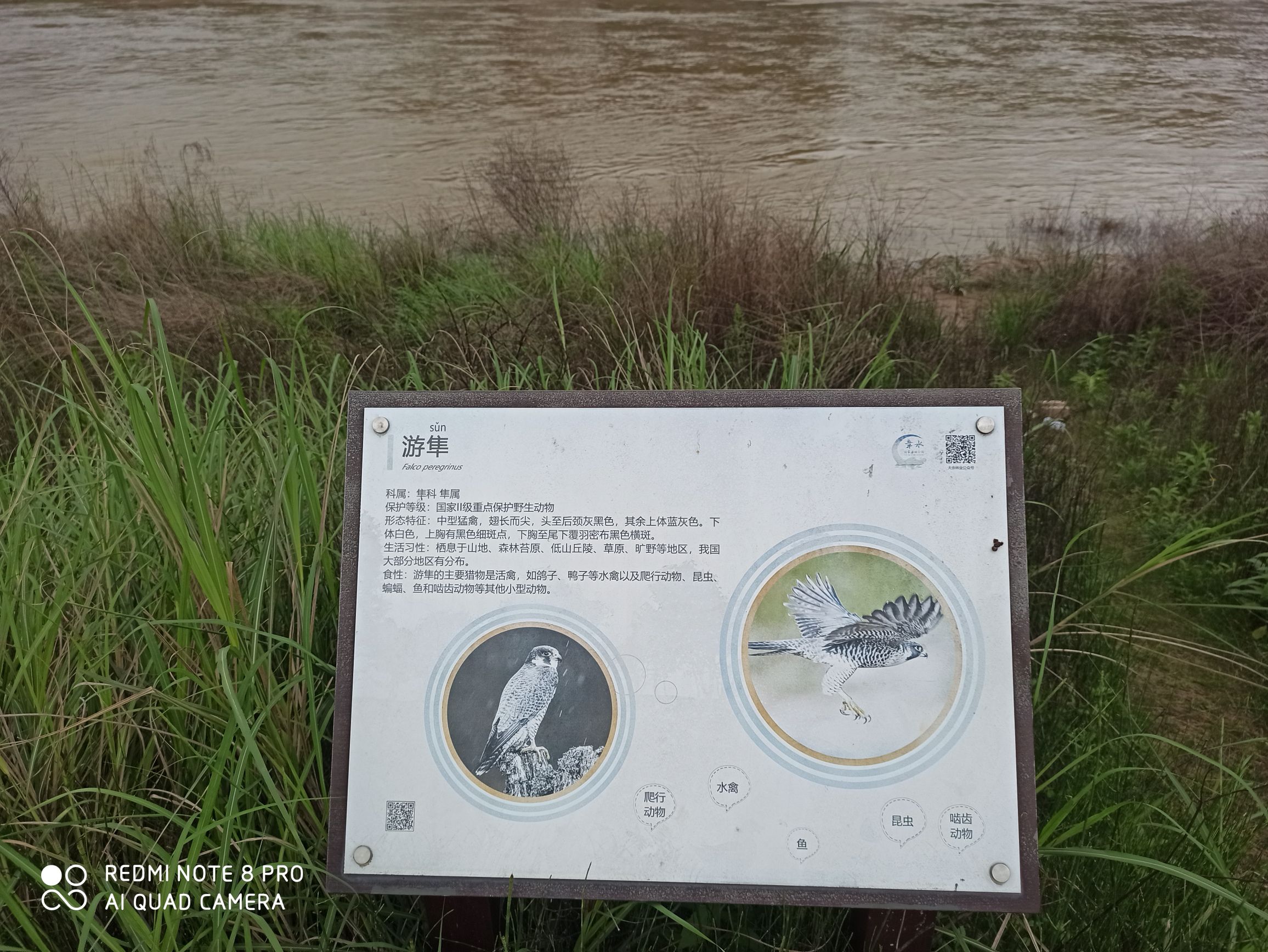 大余章水国家湿地公园