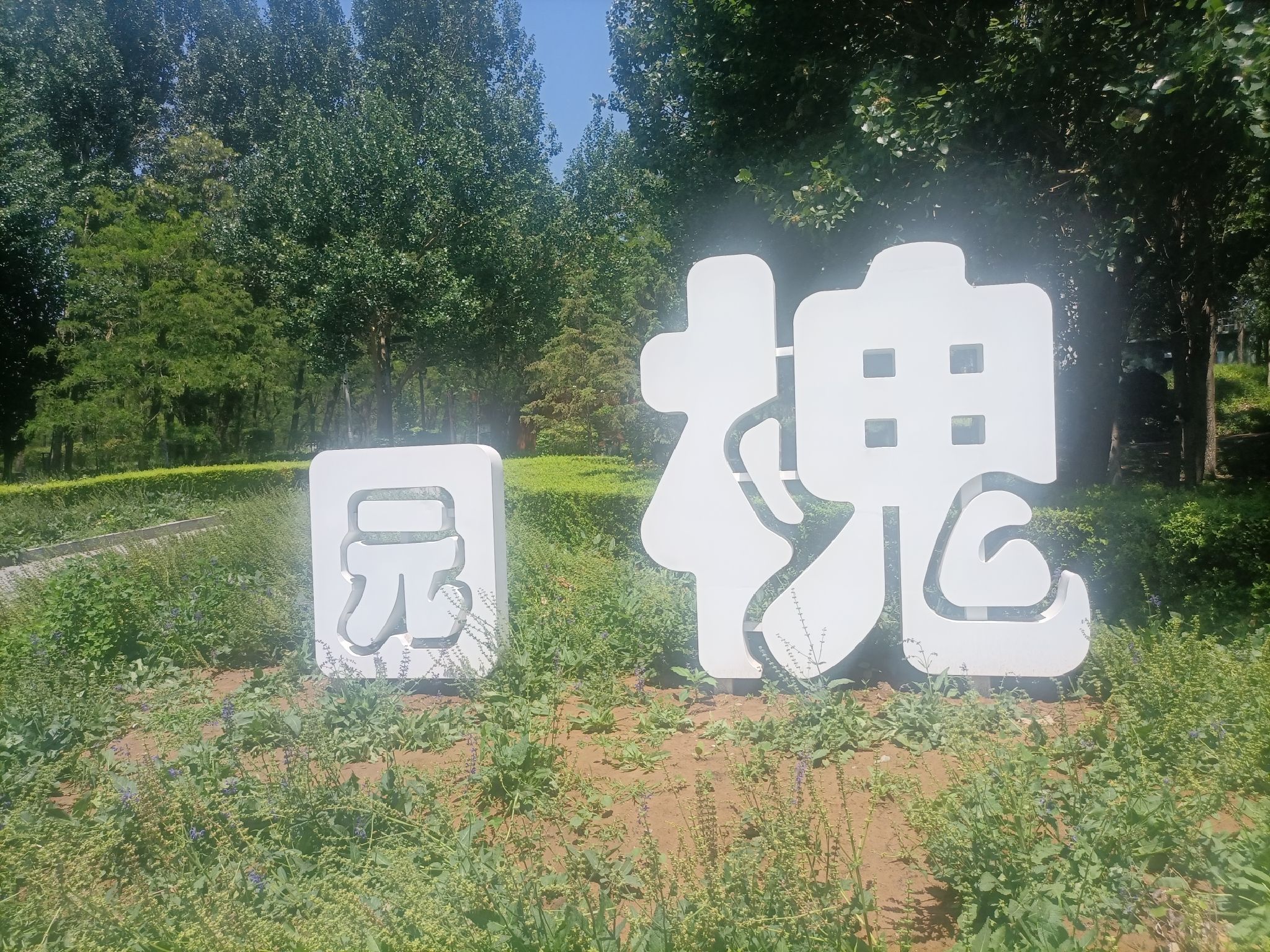 槐园