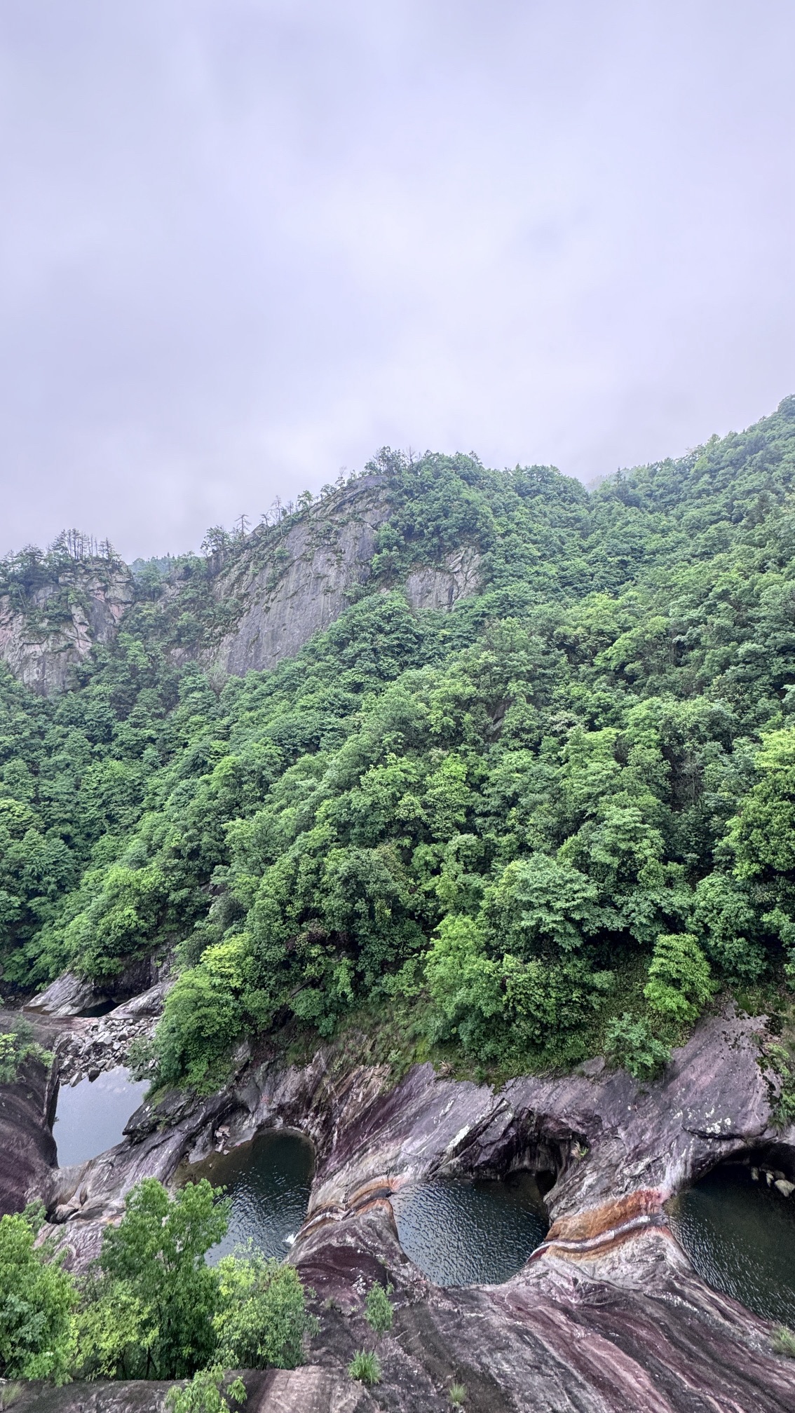 九龙井景区