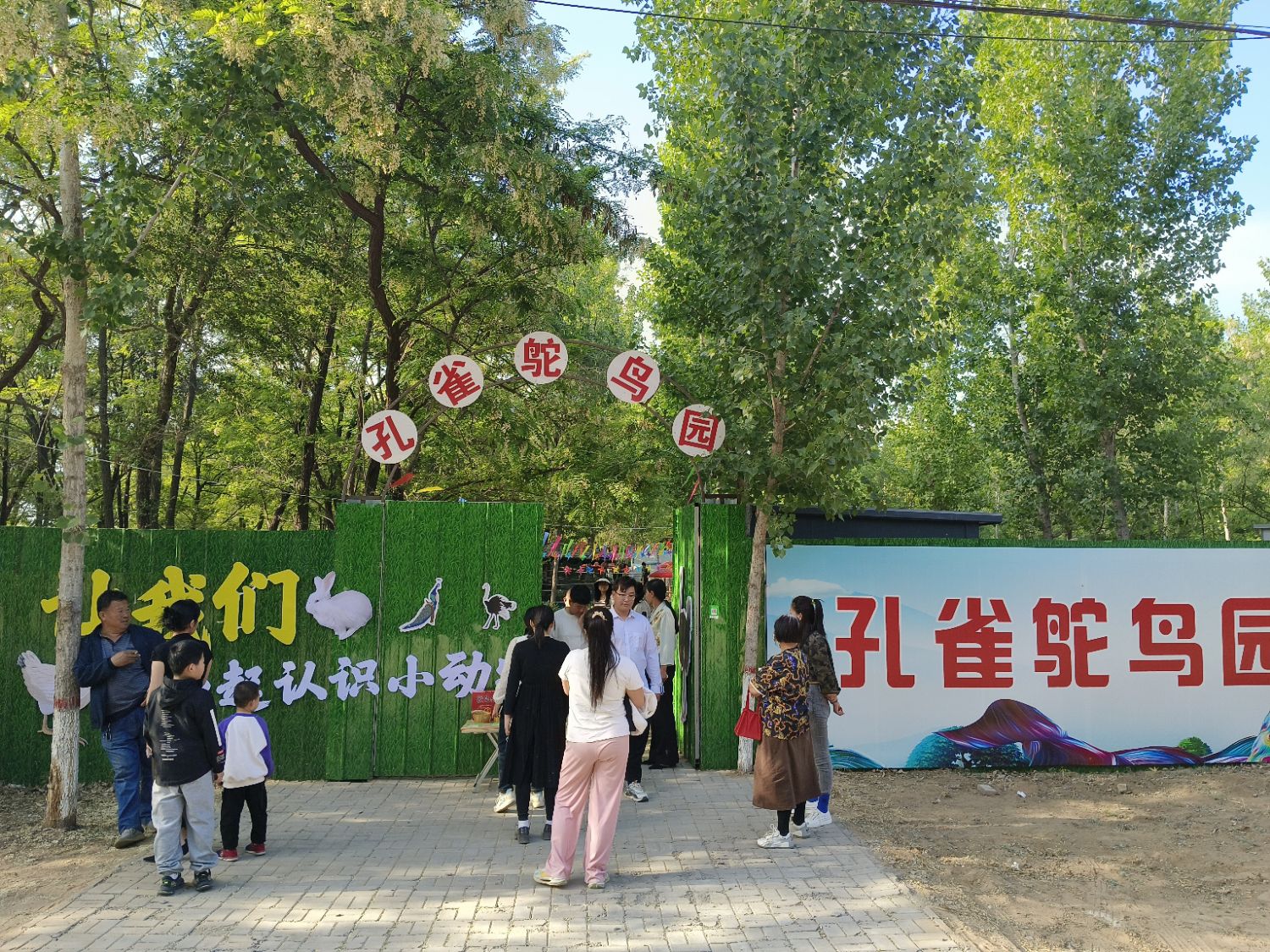 鸵鸟孔雀园旅行图片
