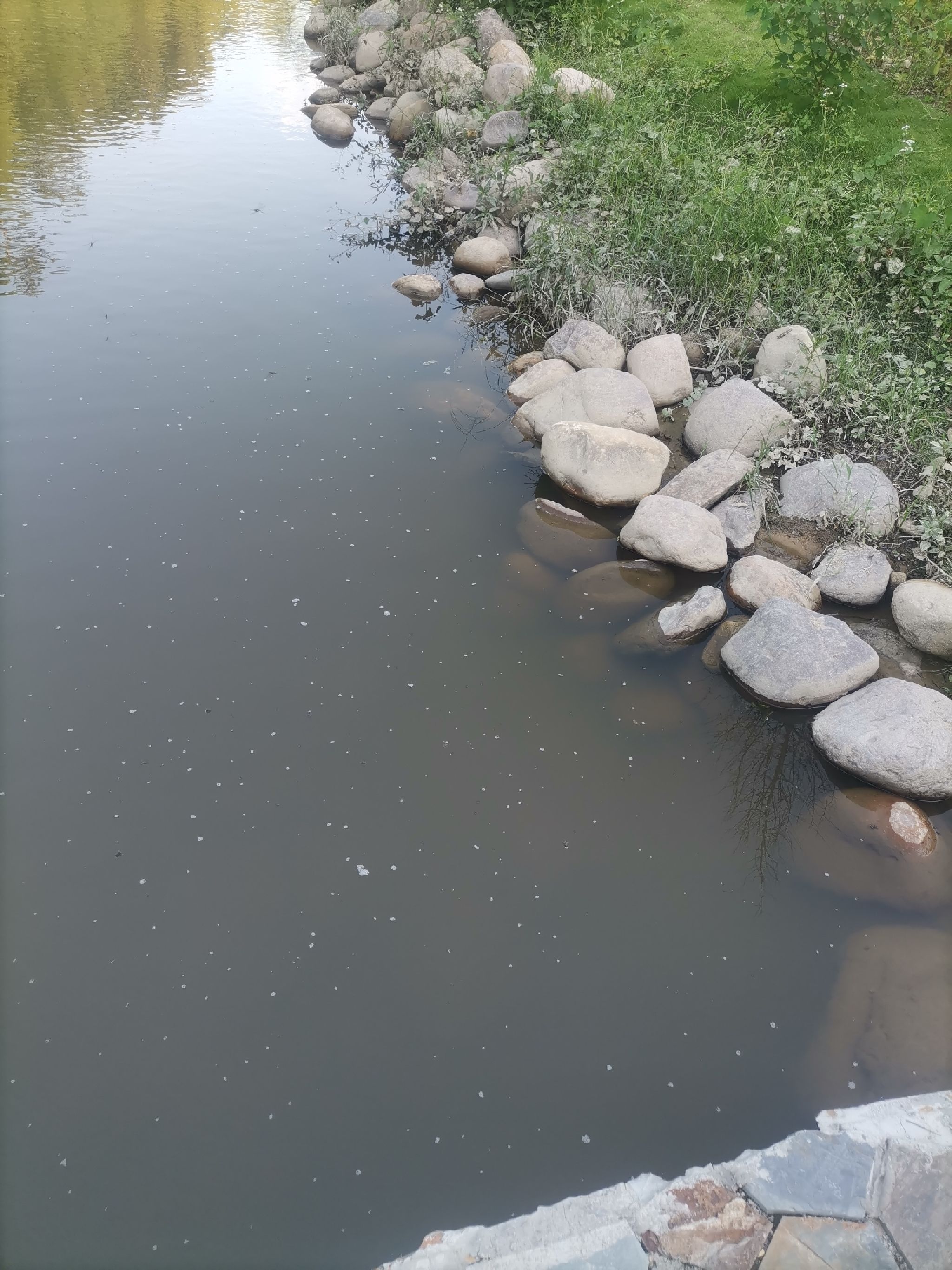 鉴江源湿地公园旅行图片