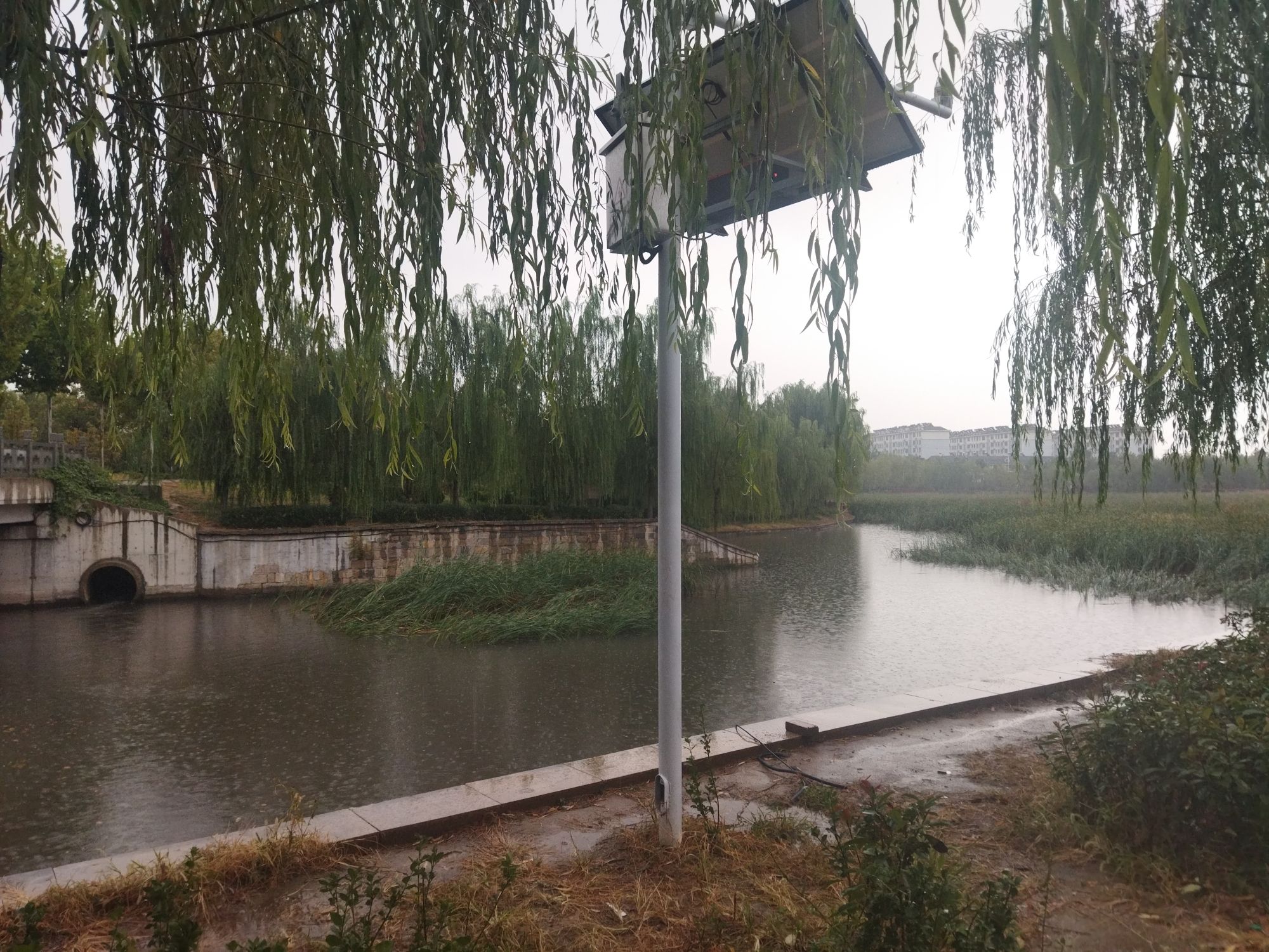 胜利湖公园