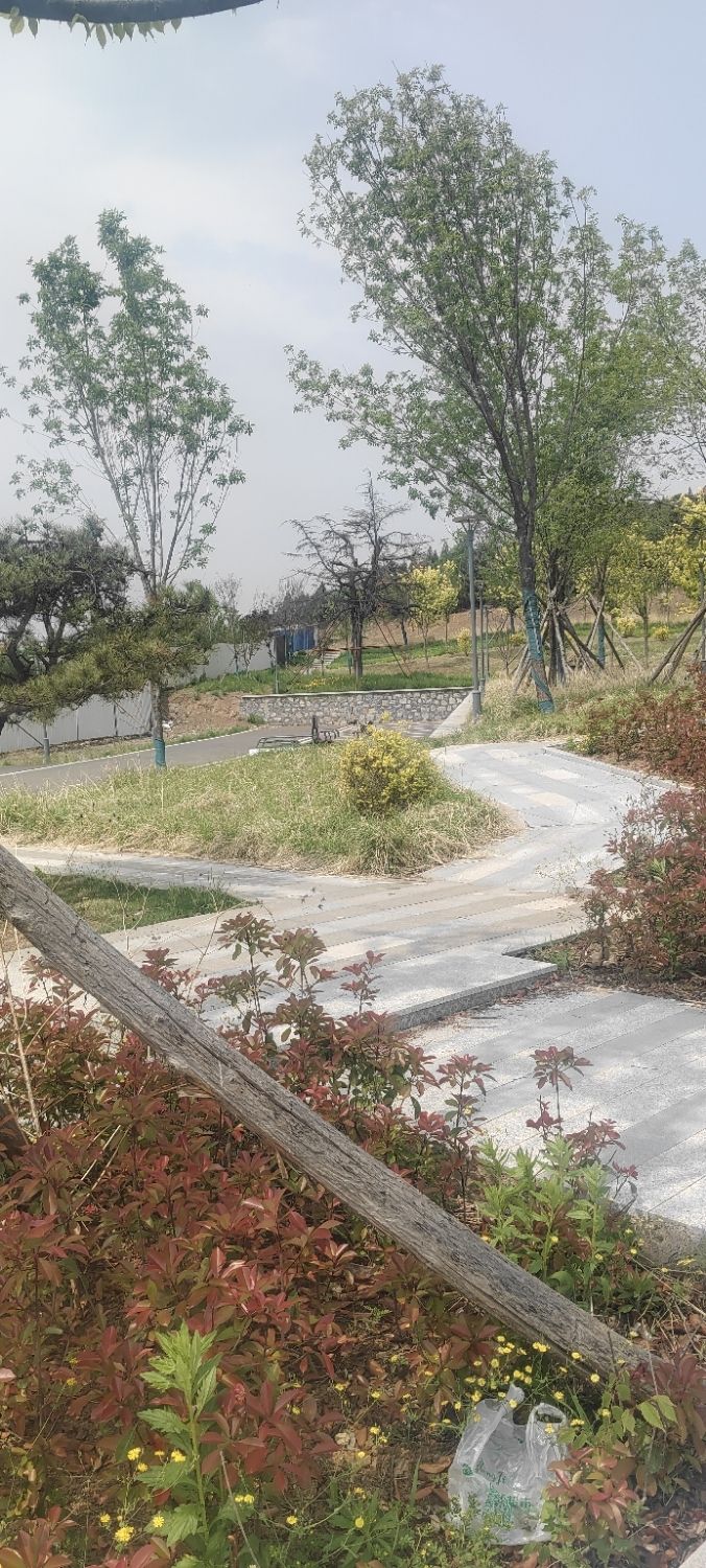 东莞镇莲花山公园