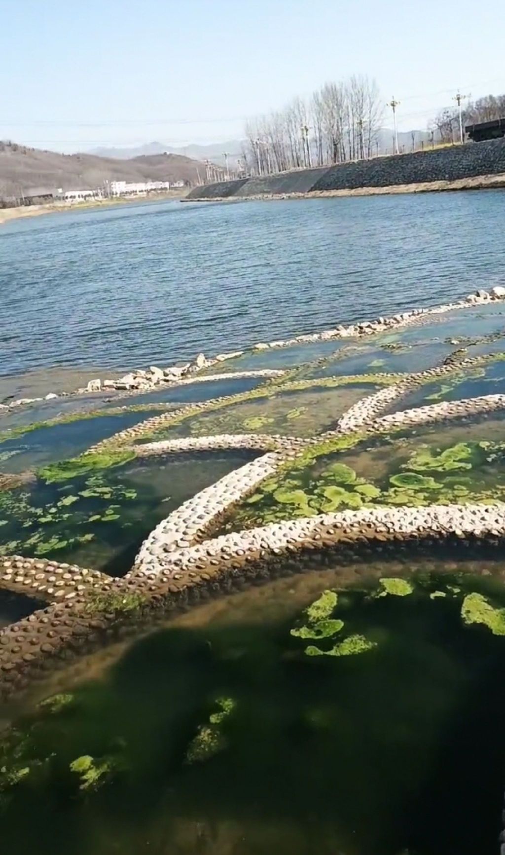鱼鳞坝